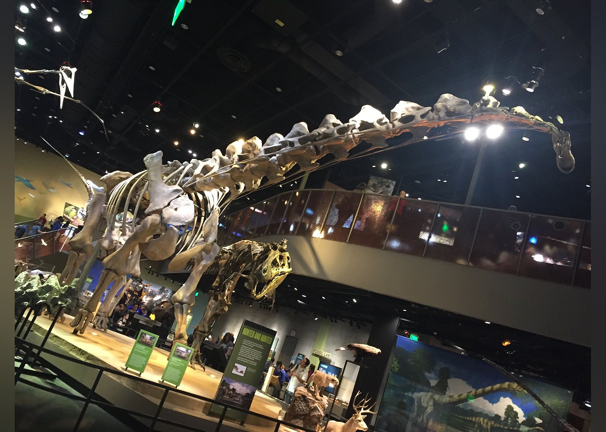 #16. Perot Museum of Nature and Science