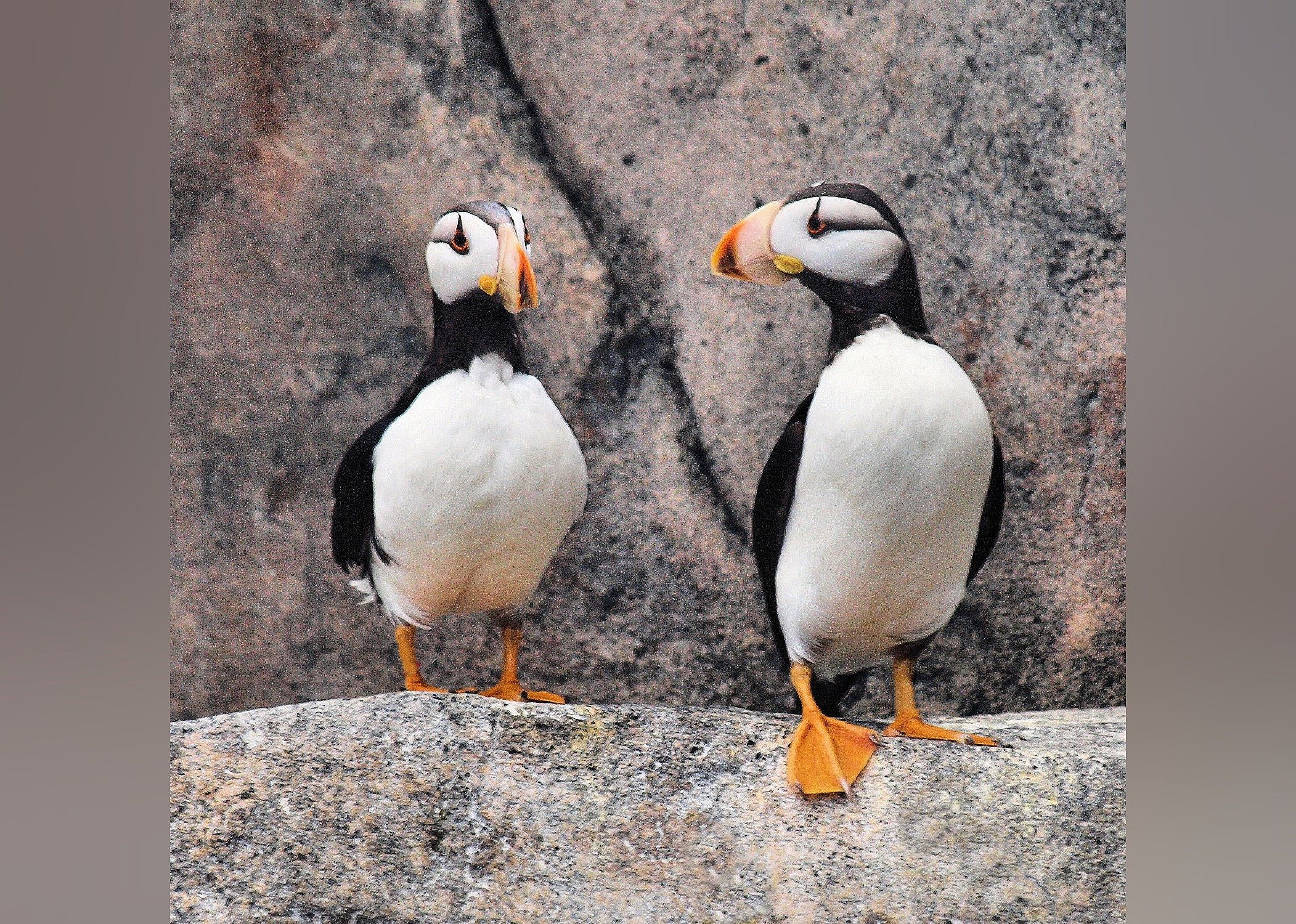 #13. Alaska SeaLife Center