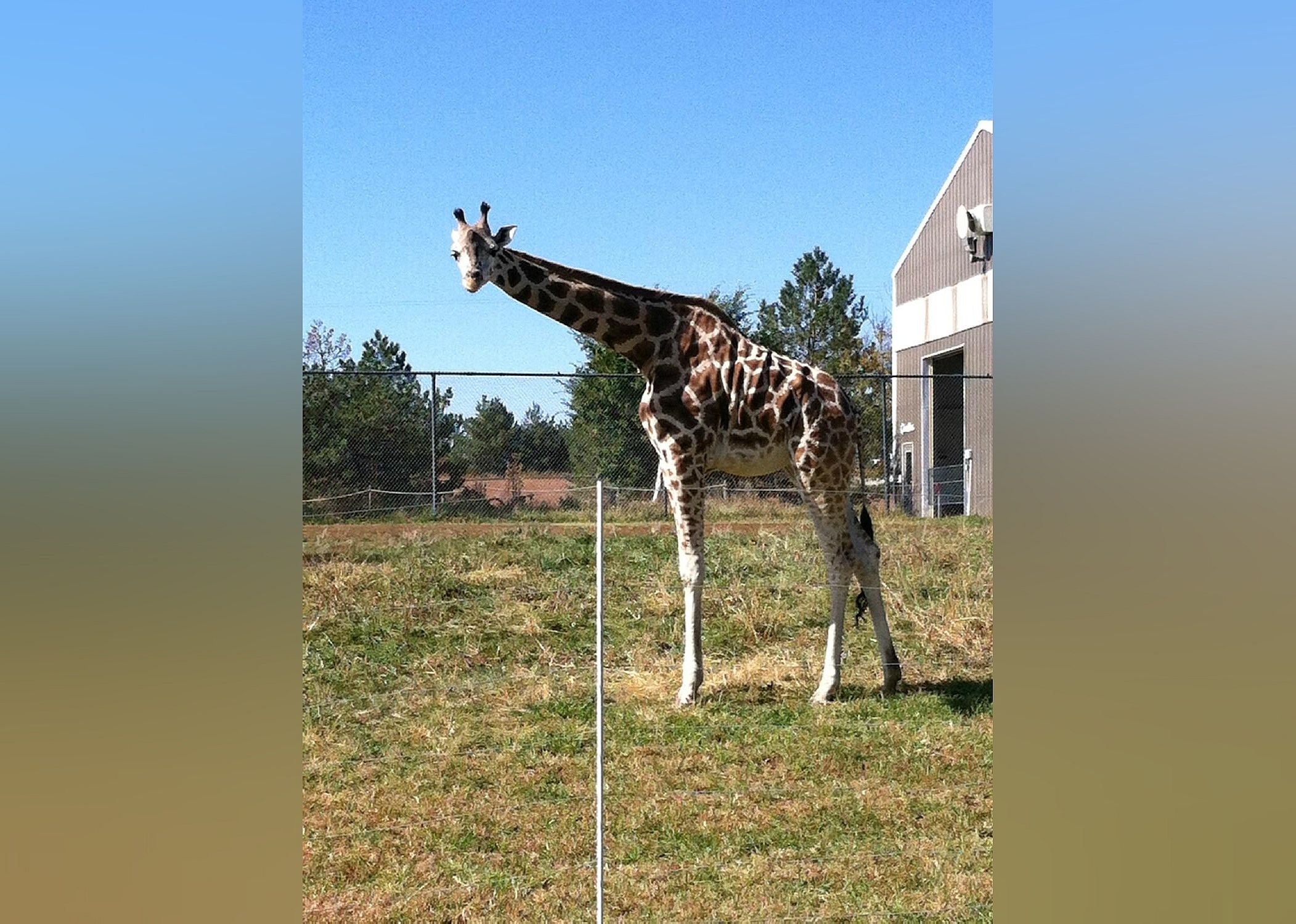 #9. Rolling Hills Zoo