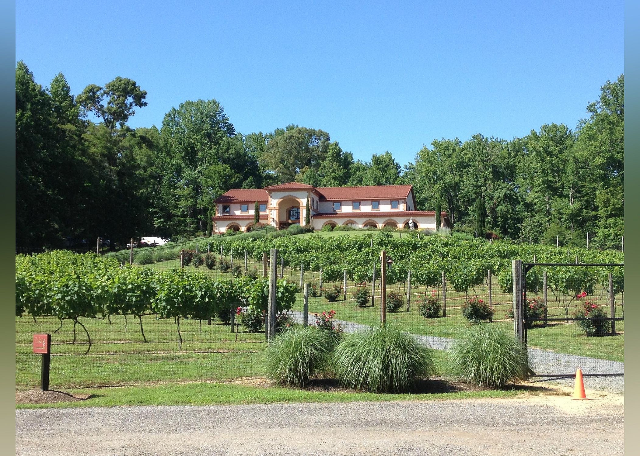 #9. Running Hare Vineyard