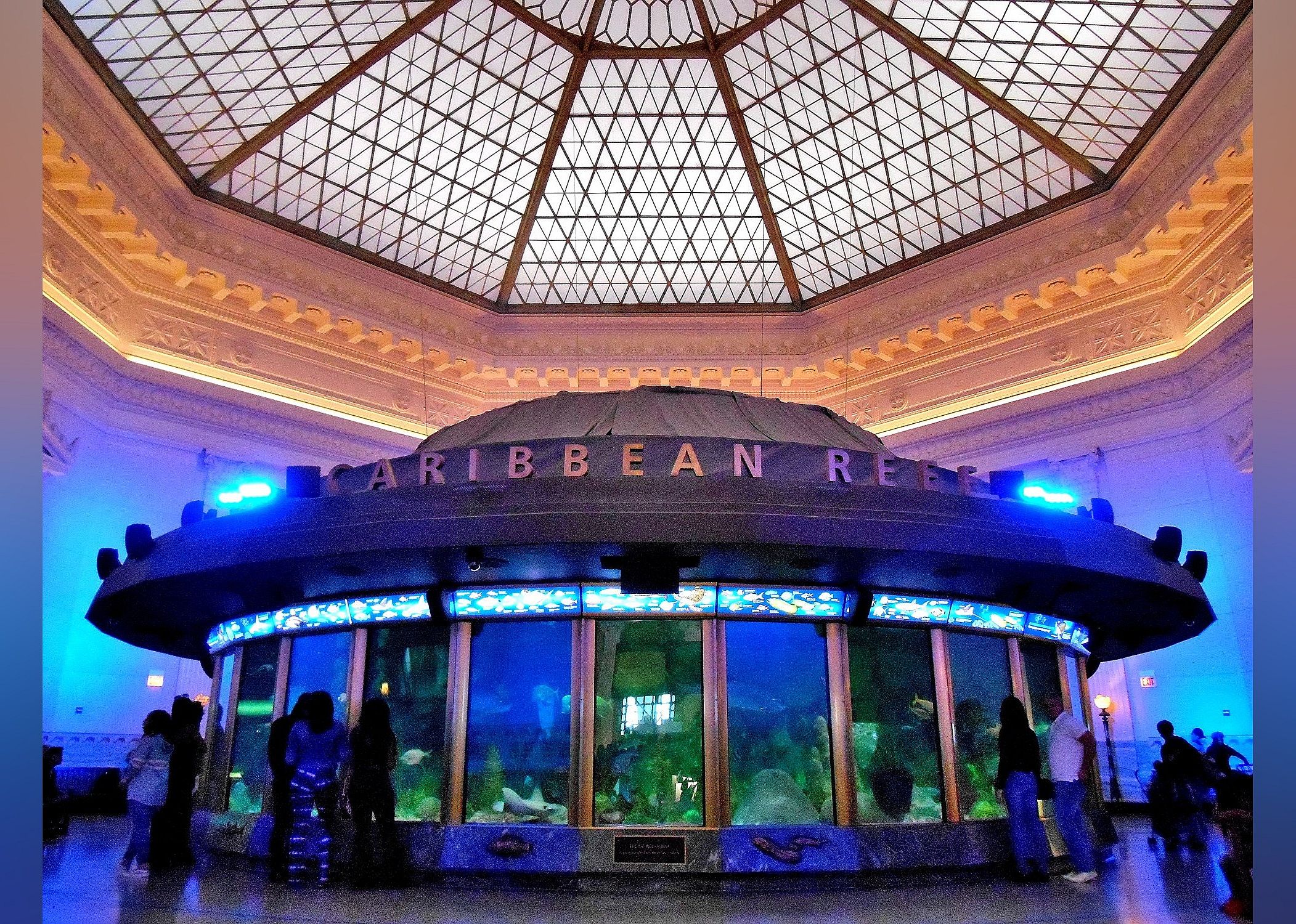 #14. Shedd Aquarium