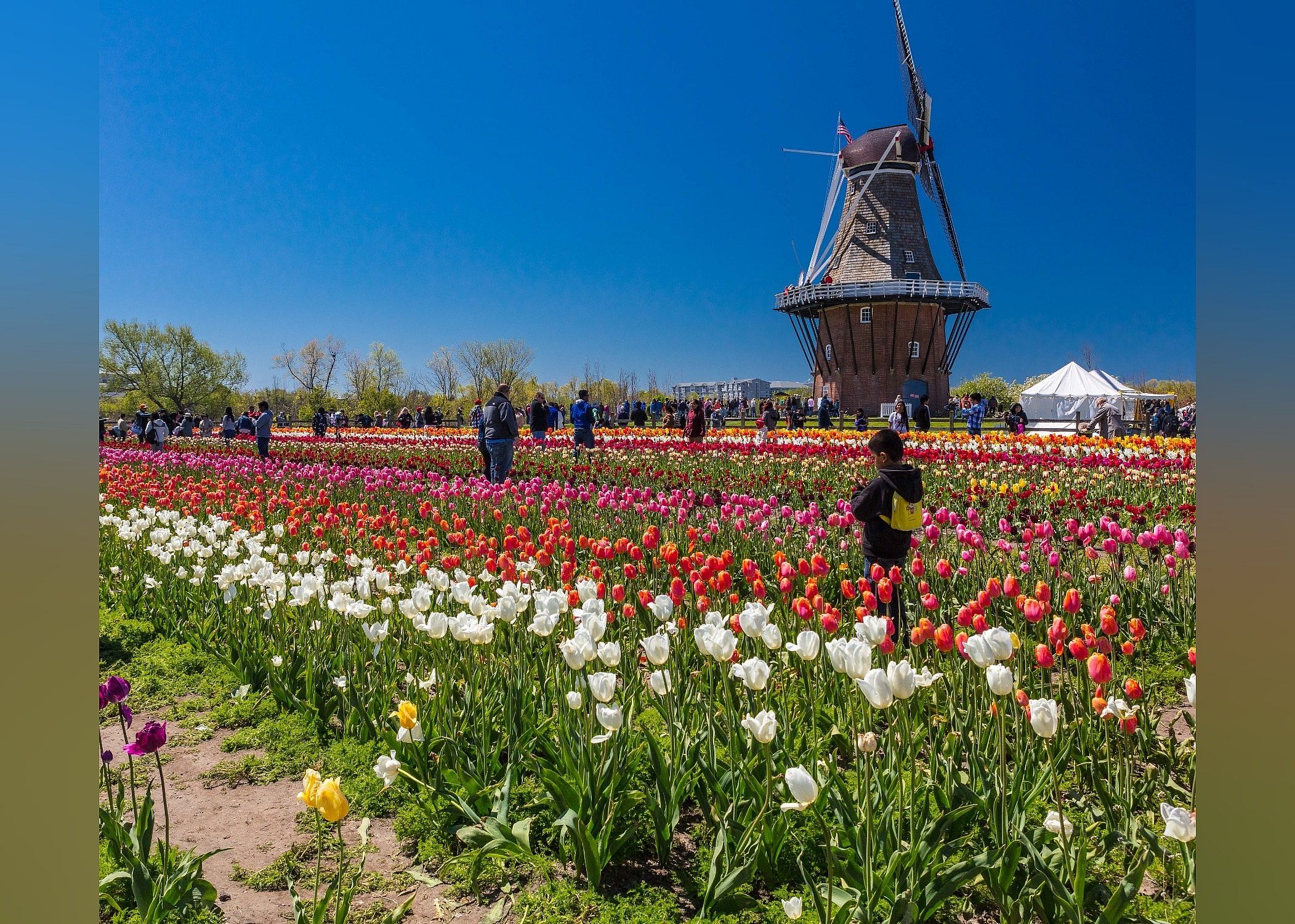 #19. Windmill Island Gardens