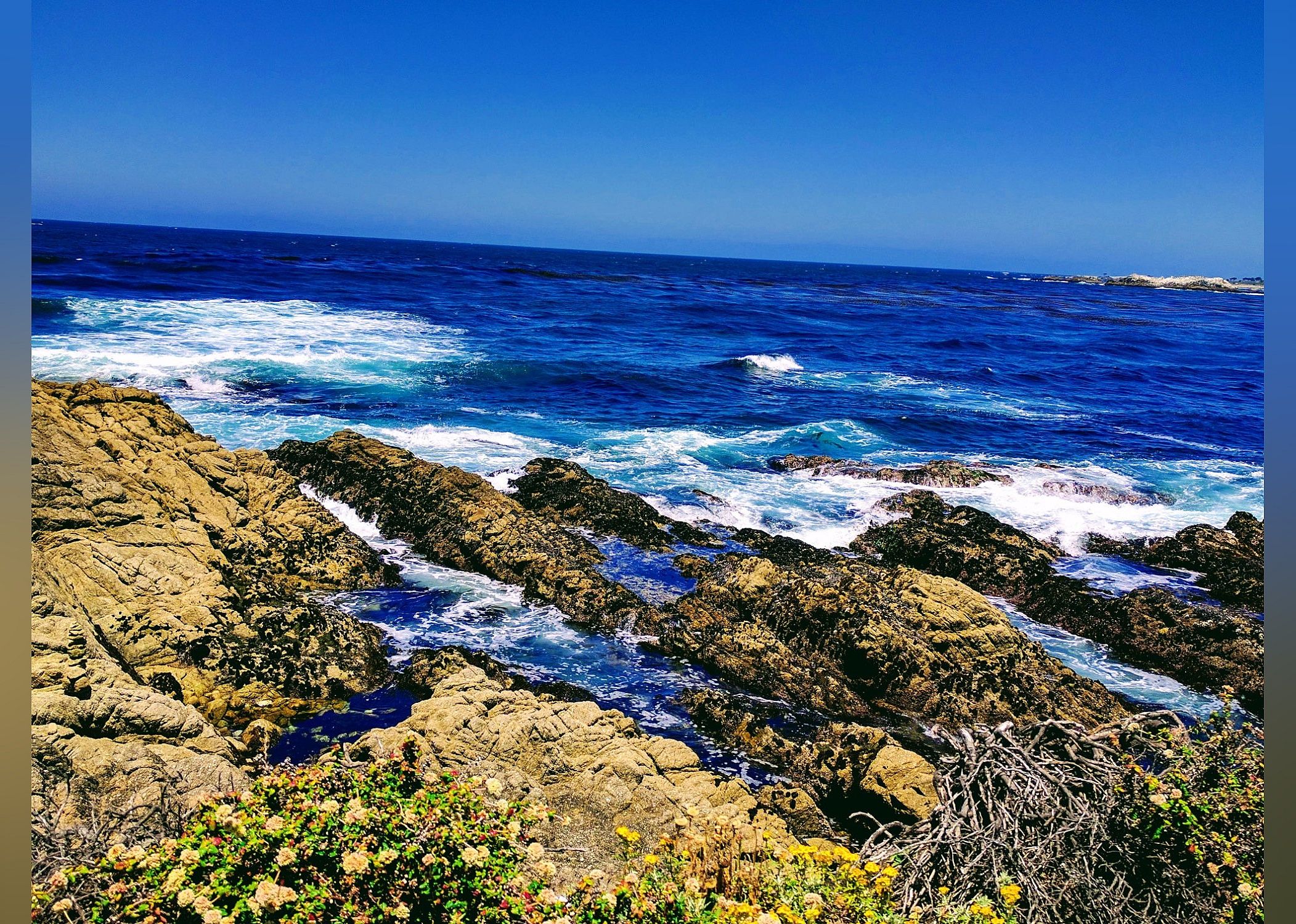 #11. 17-Mile Drive