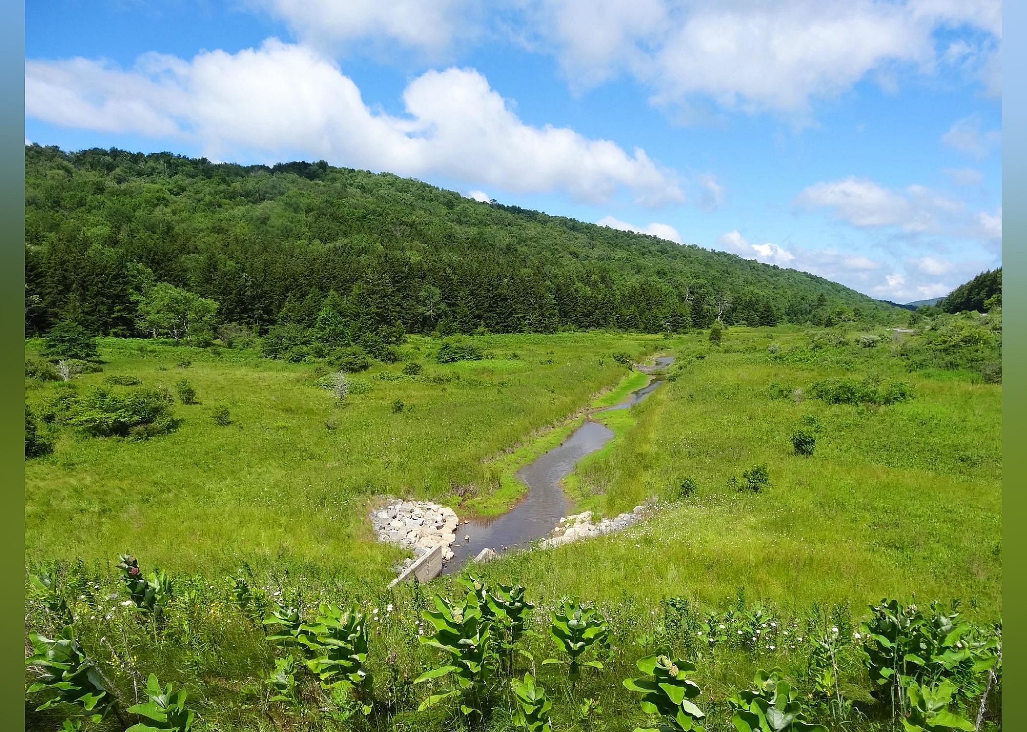 #18. Spruce Knob