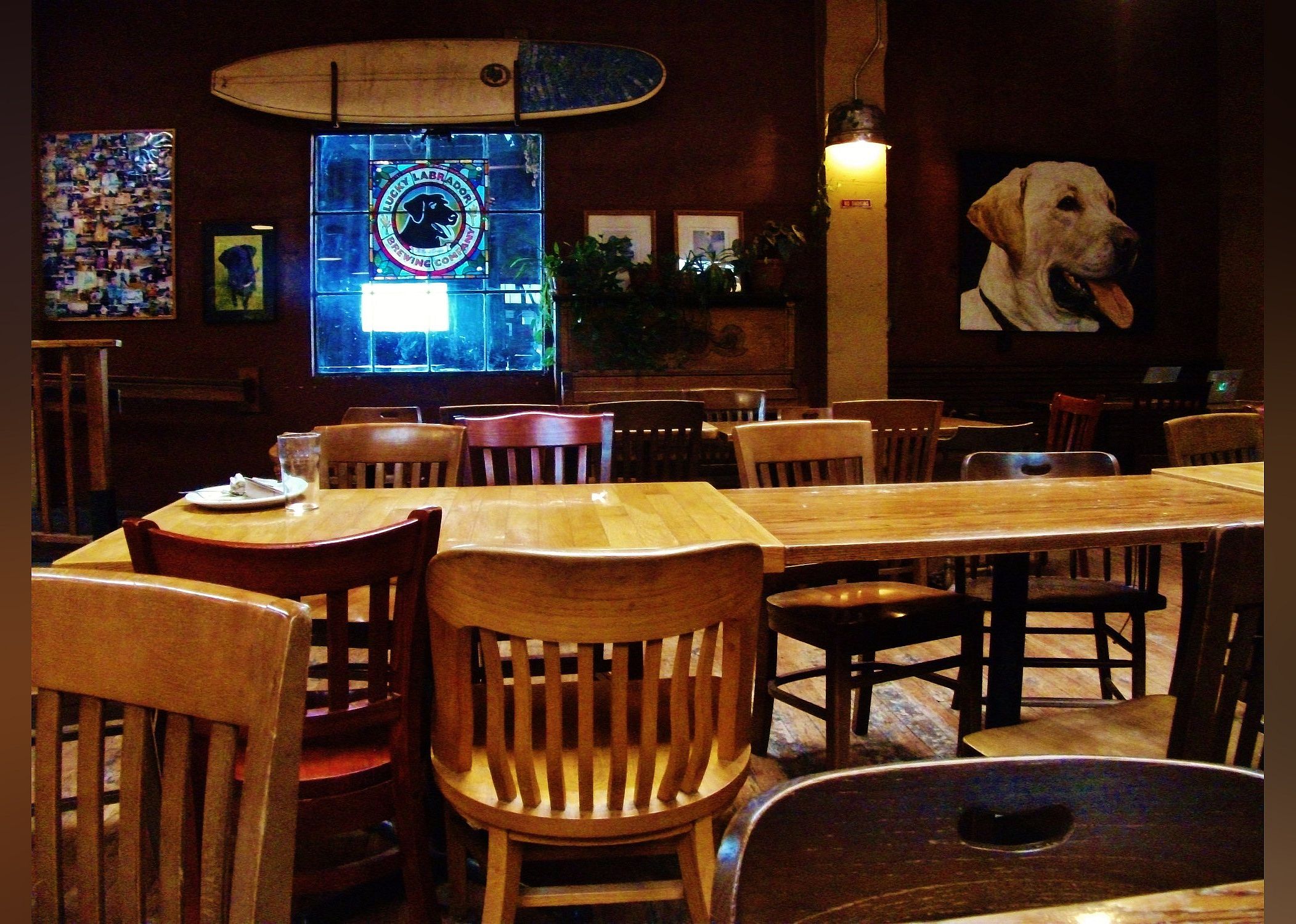 #24. Lucky Labrador Brewing Company