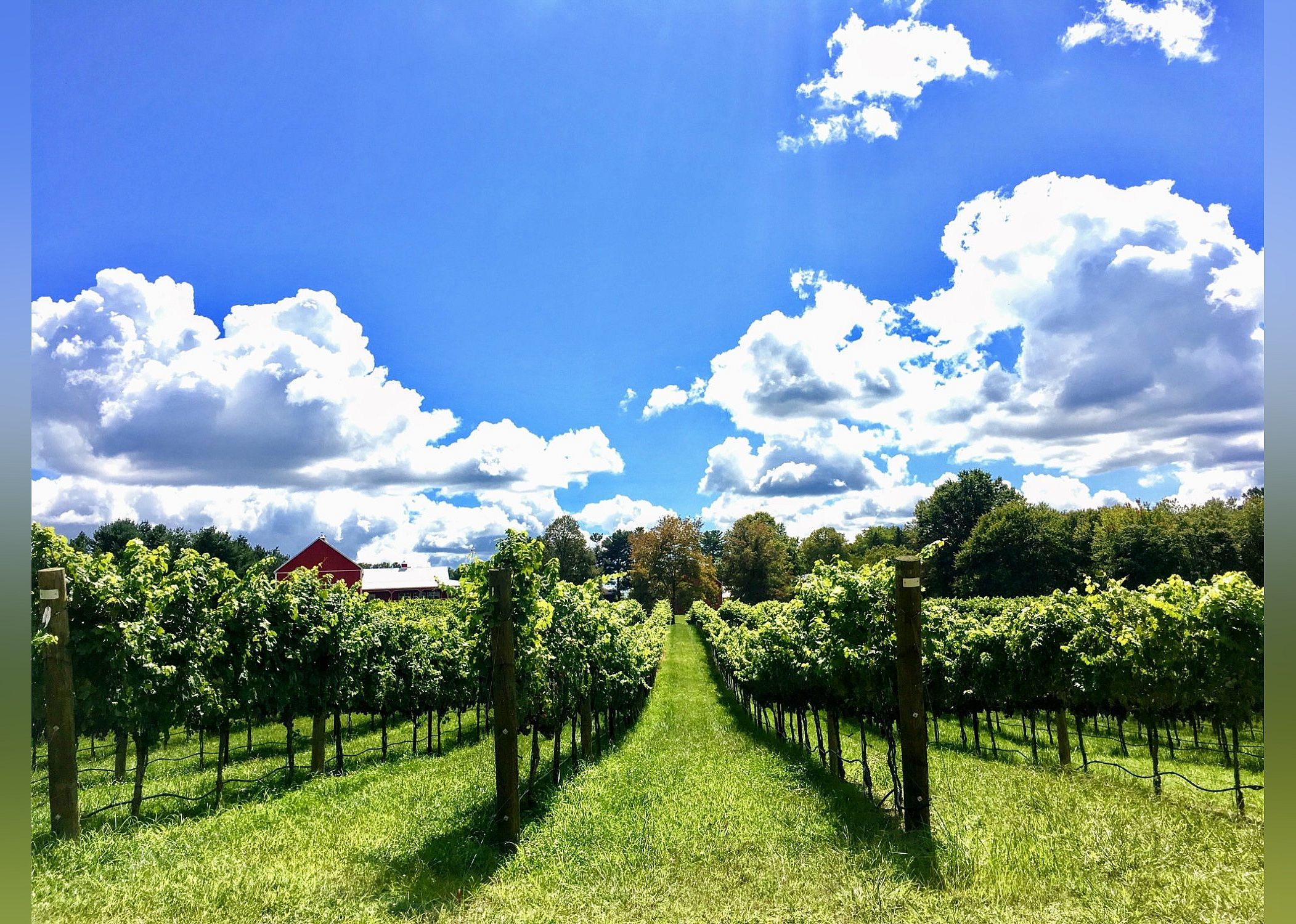 #20. Robin Hill Farm & Vineyards