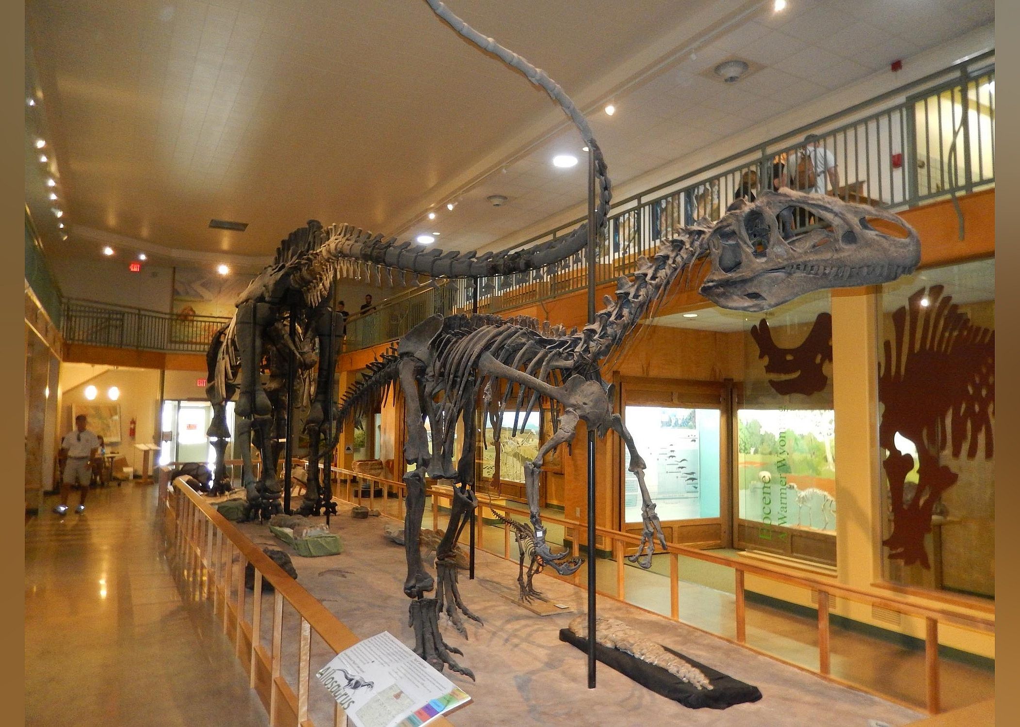 #26. University of Wyoming Geological Museum