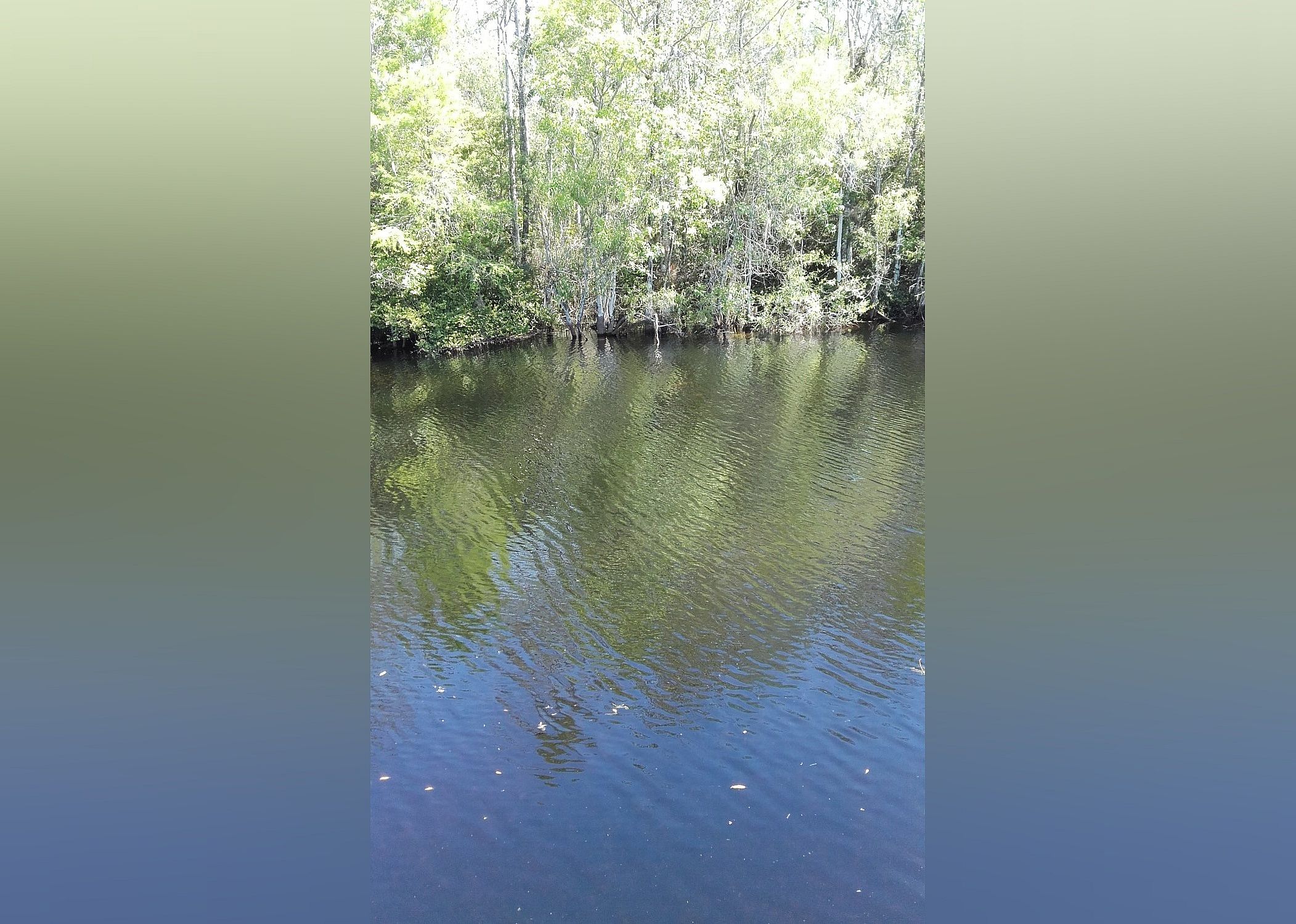 #6. Turner River Road