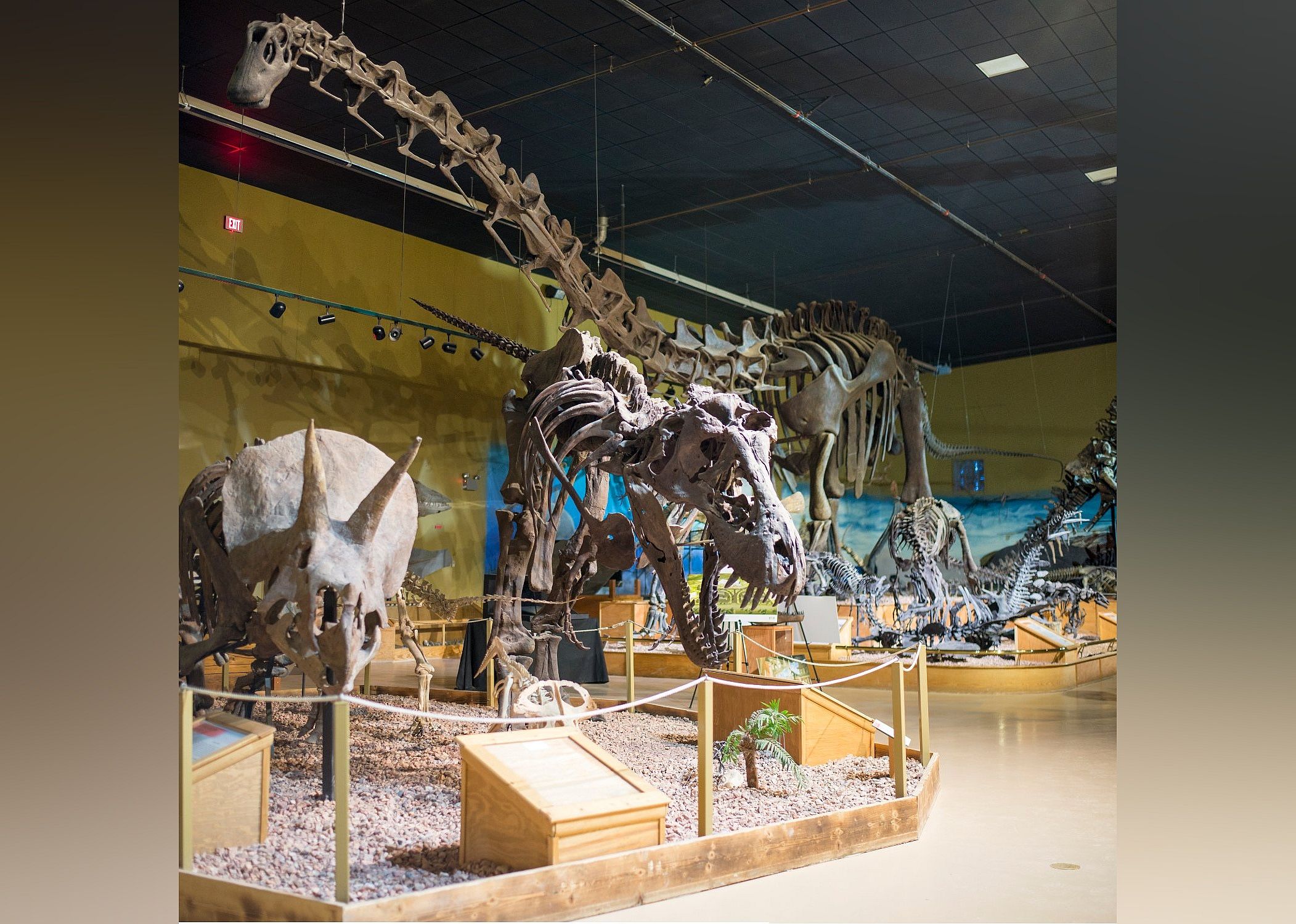 #5. Wyoming Dinosaur Center