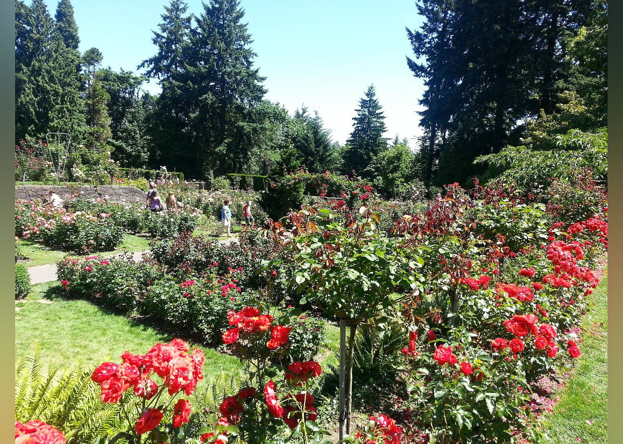 #12. Washington Park