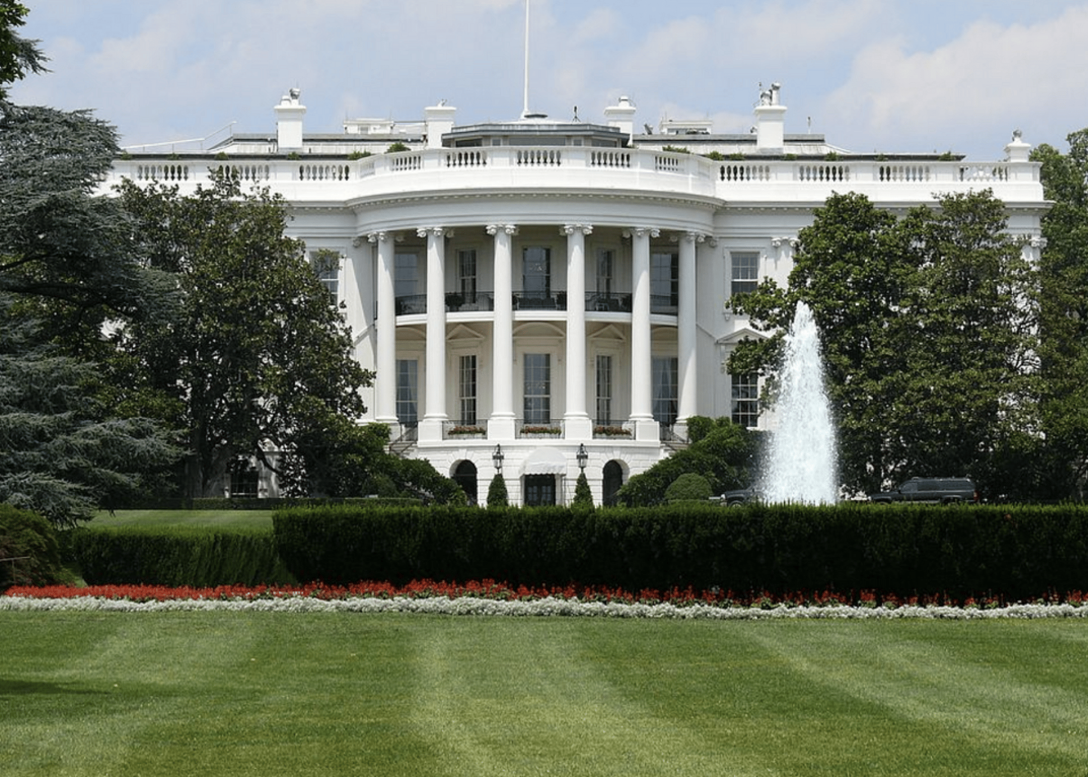 Question #15: Who is in charge of the executive branch?