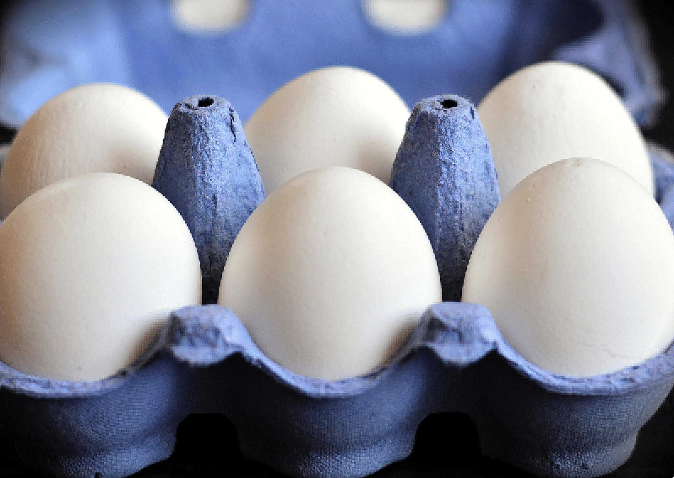 Dairy products and eggs