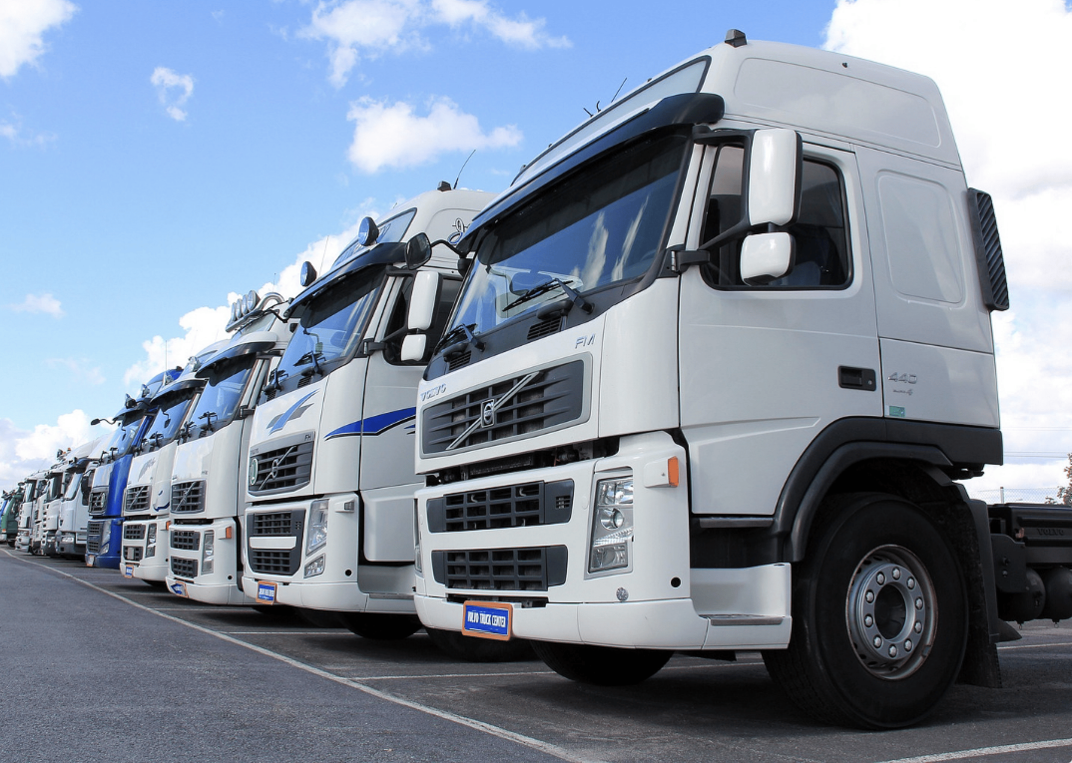 Trucks, buses, and special purpose vehicles