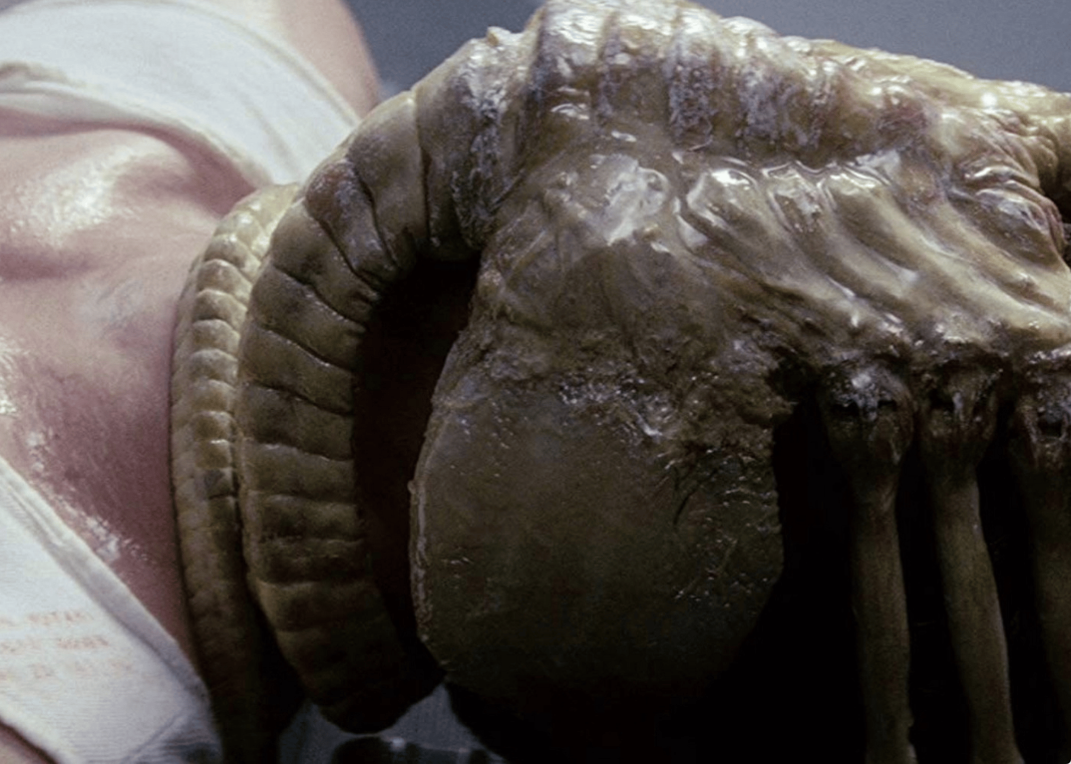 #4. Alien (1979)