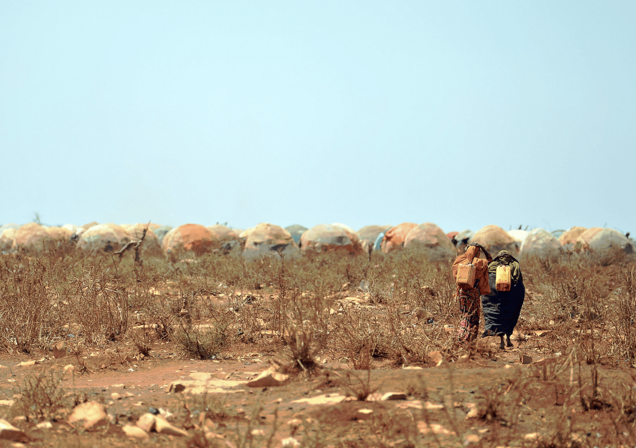2011 East Africa Drought