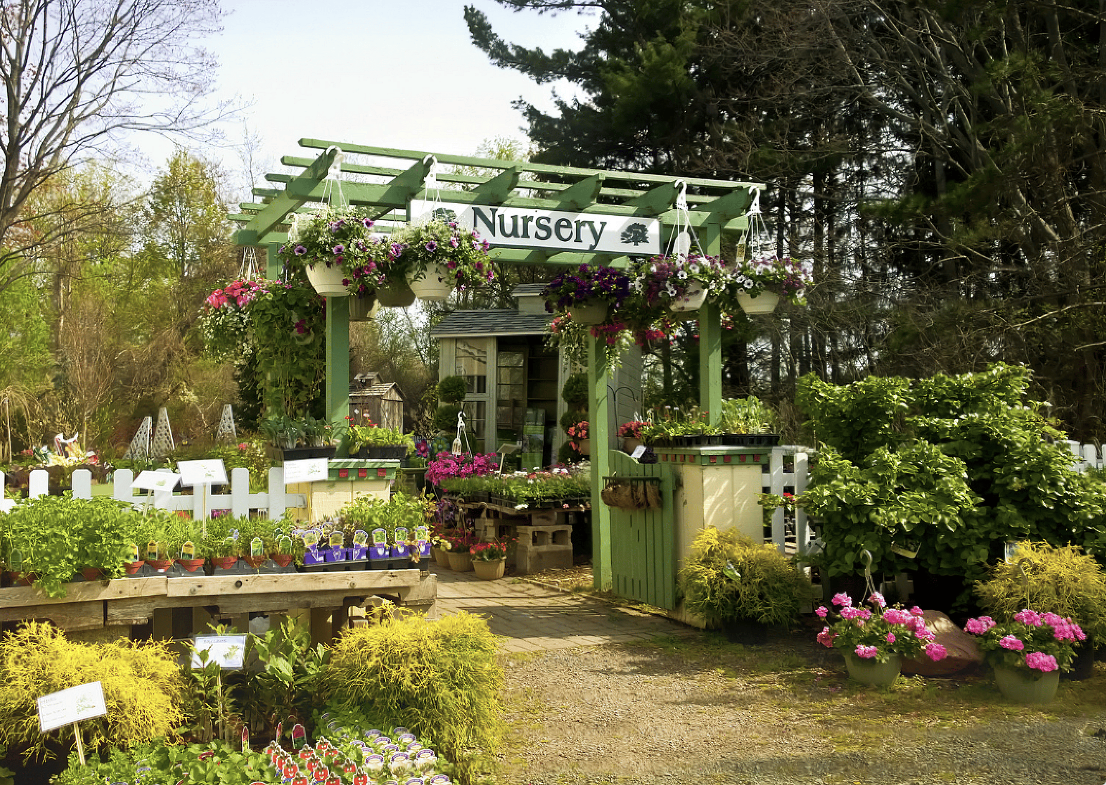 Nursery stock, etc.