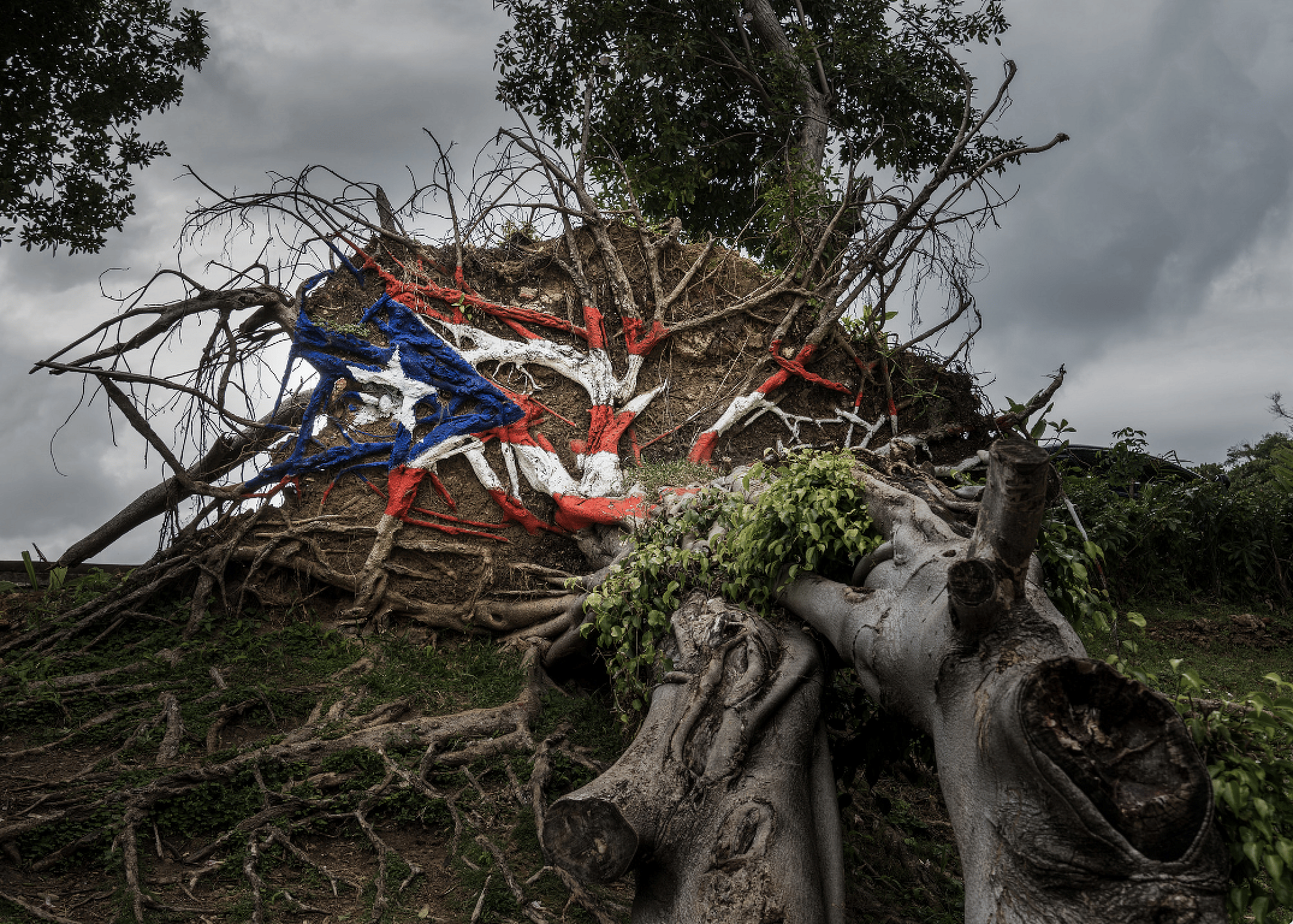 Hurricane Maria