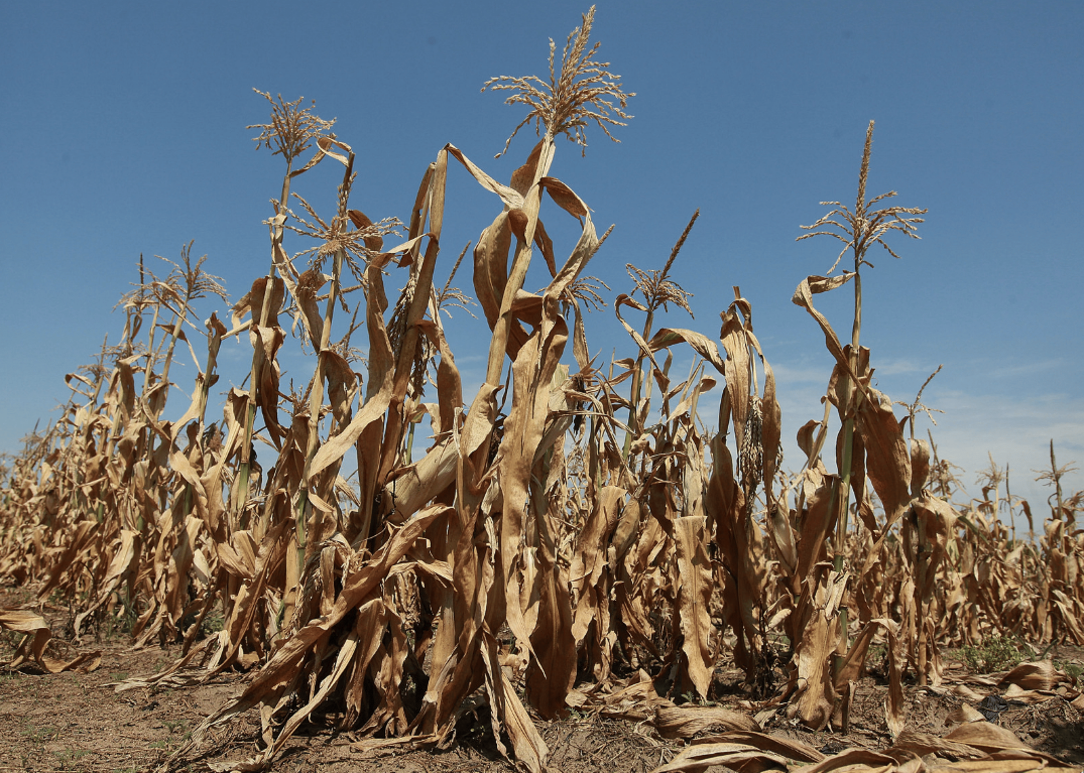 2012 North American drought