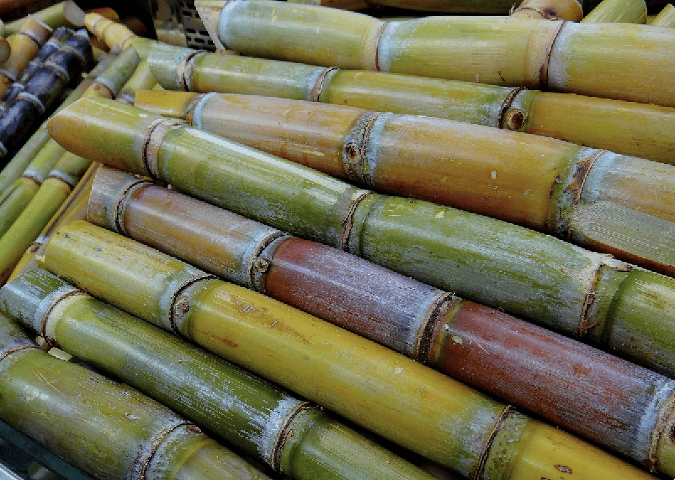 Cane and beet sugar