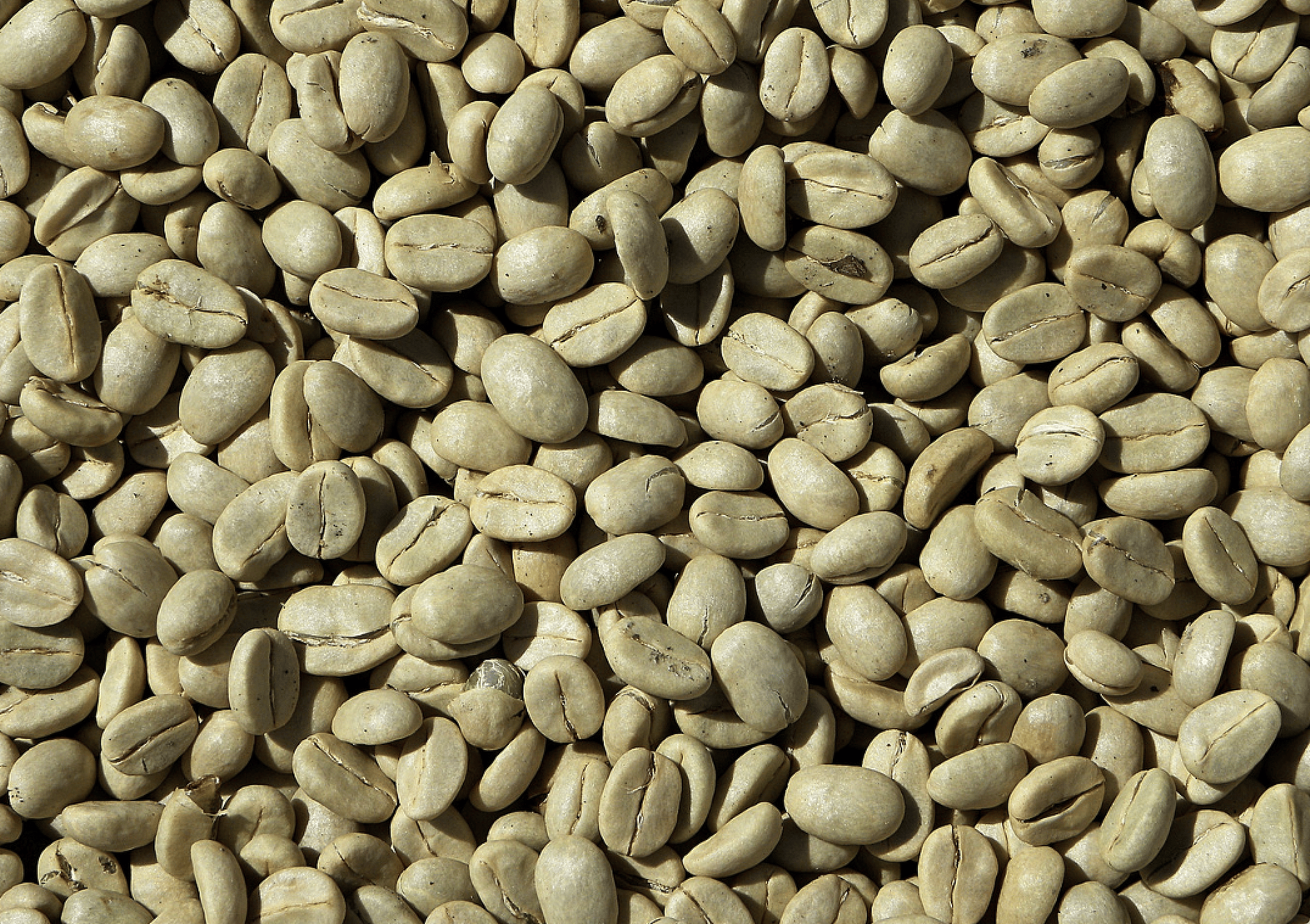 Green coffee