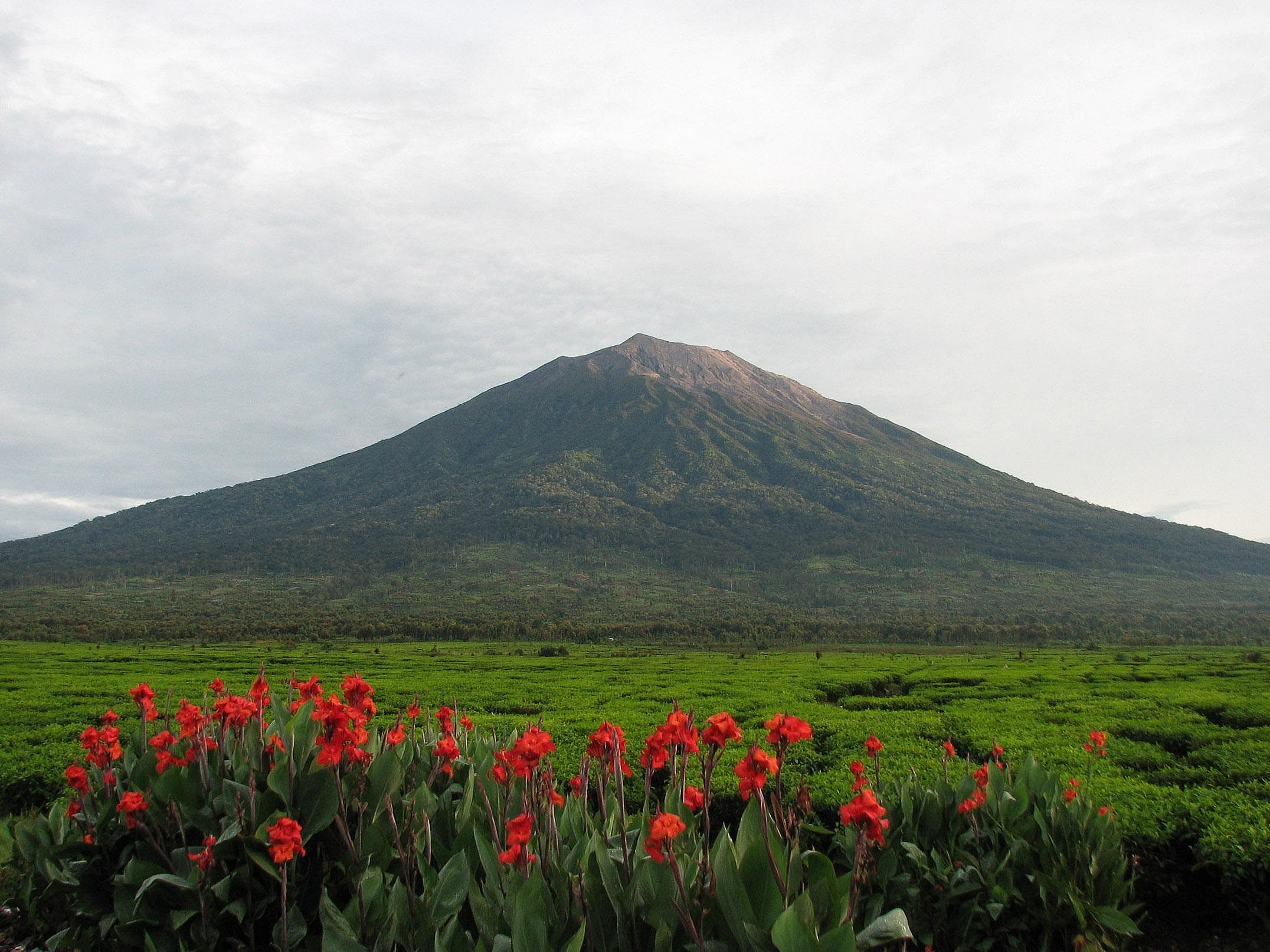#33. Gunung Kerinci (Mount Kerinci)