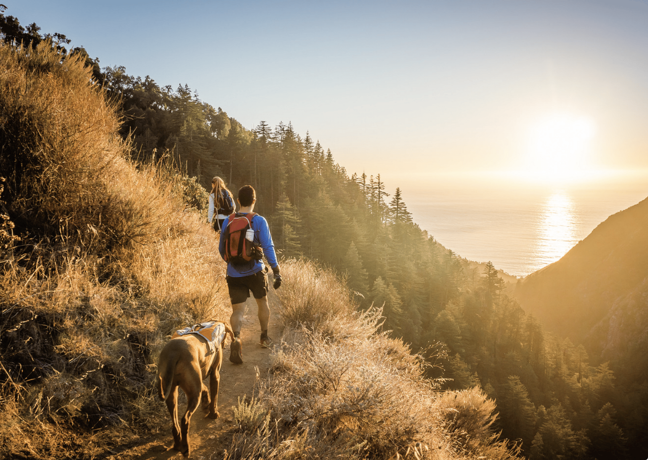 #8. Hiking (tie)
