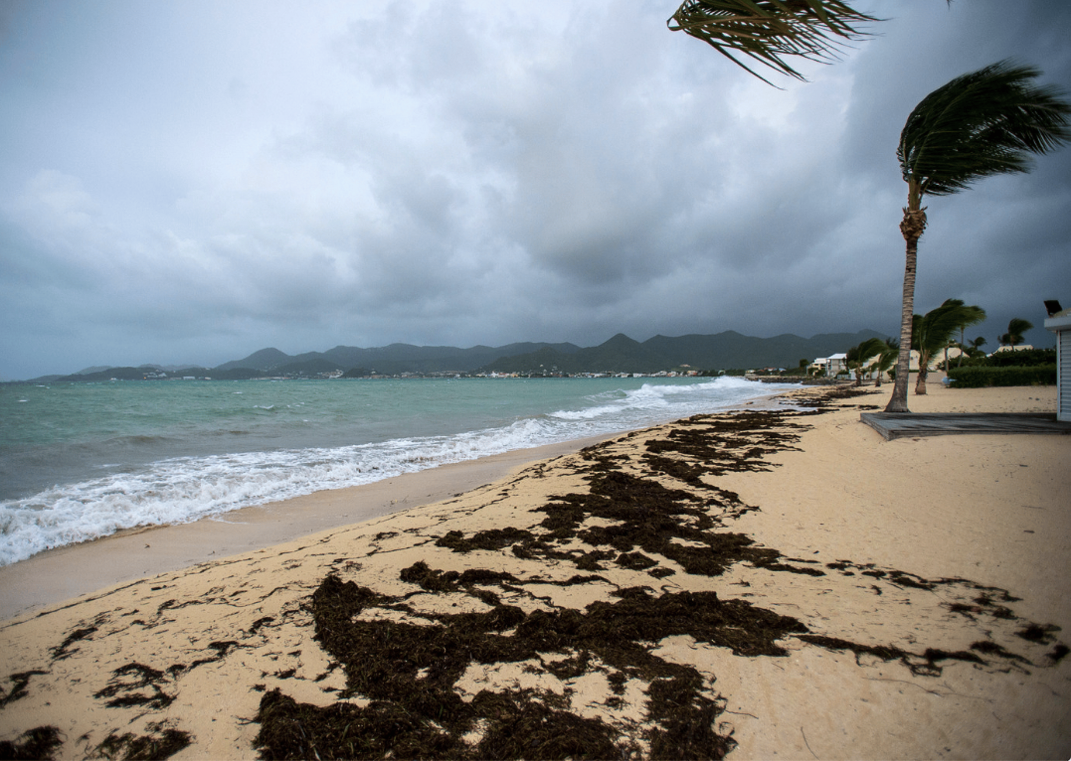 Hurricane Irma
