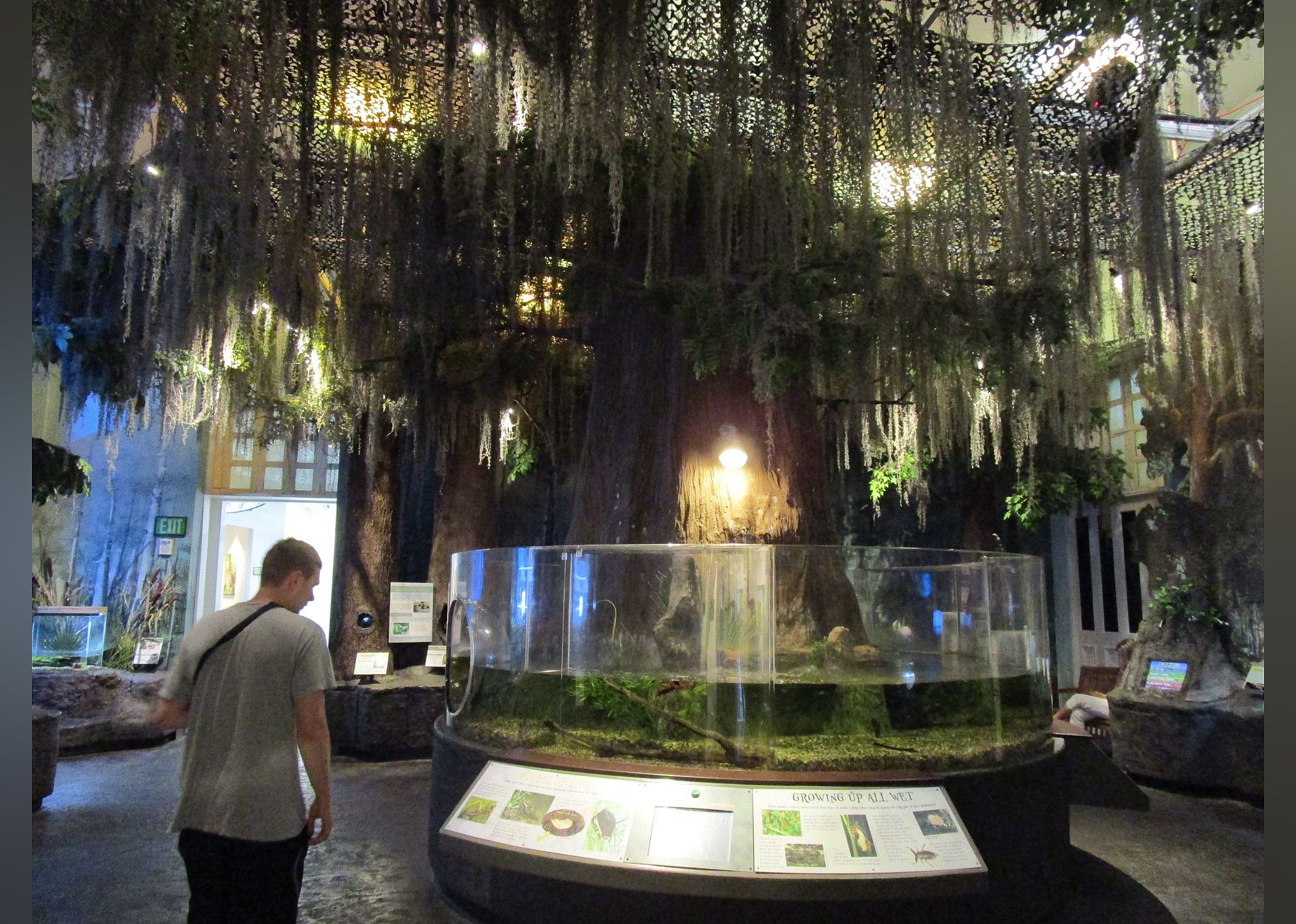 #8. Audubon Insectarium