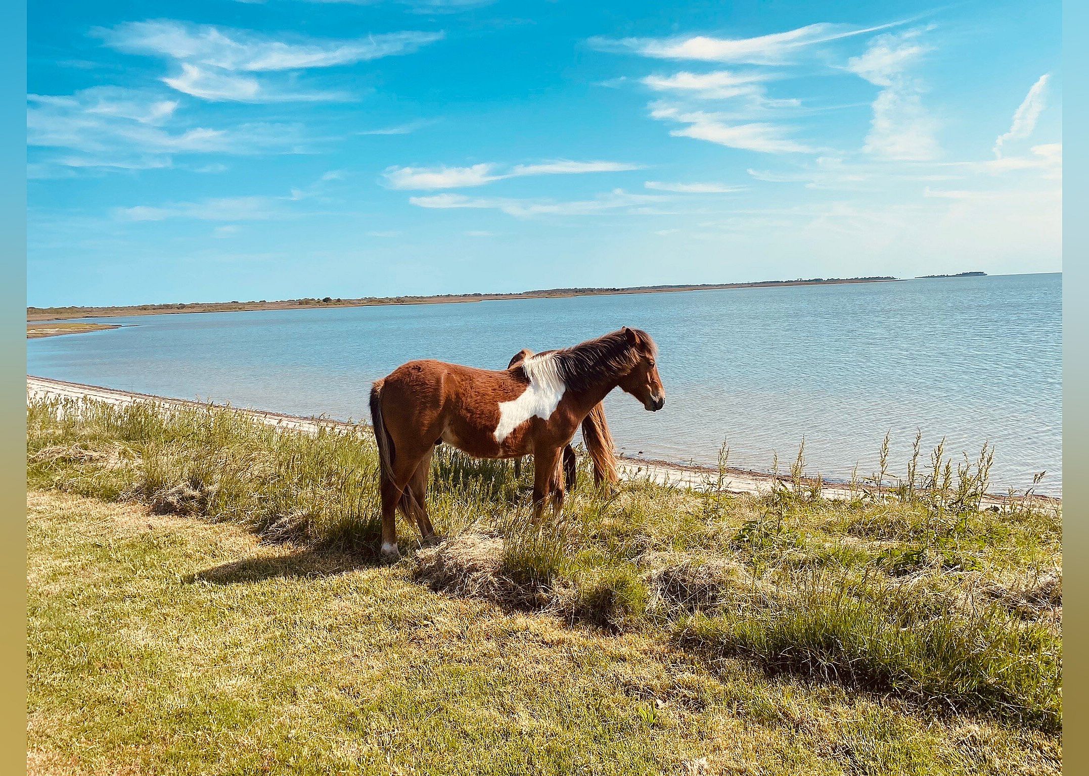 #18. Assateague State Park