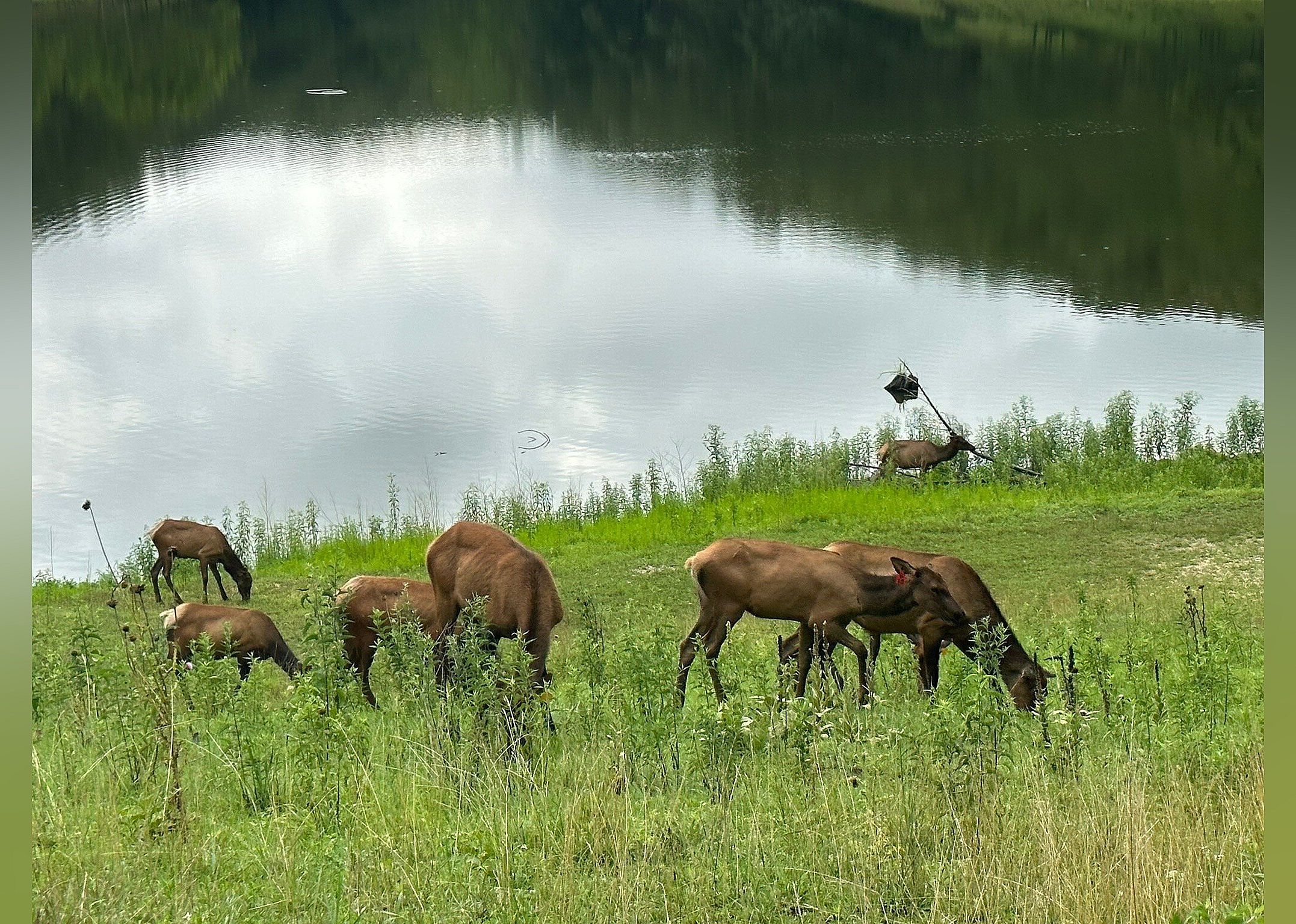 #18. Lone Elk Park
