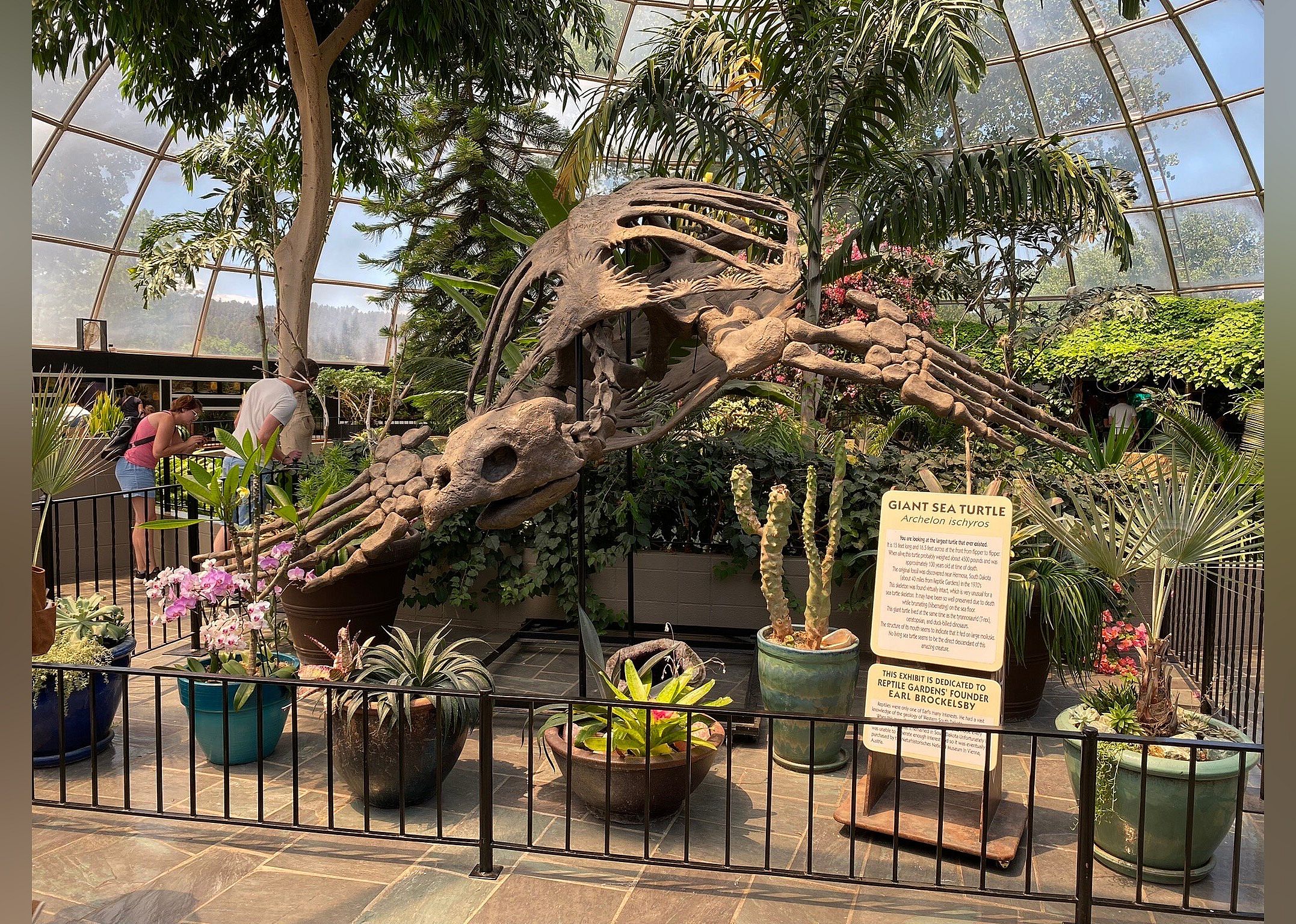 #9. Reptile Gardens