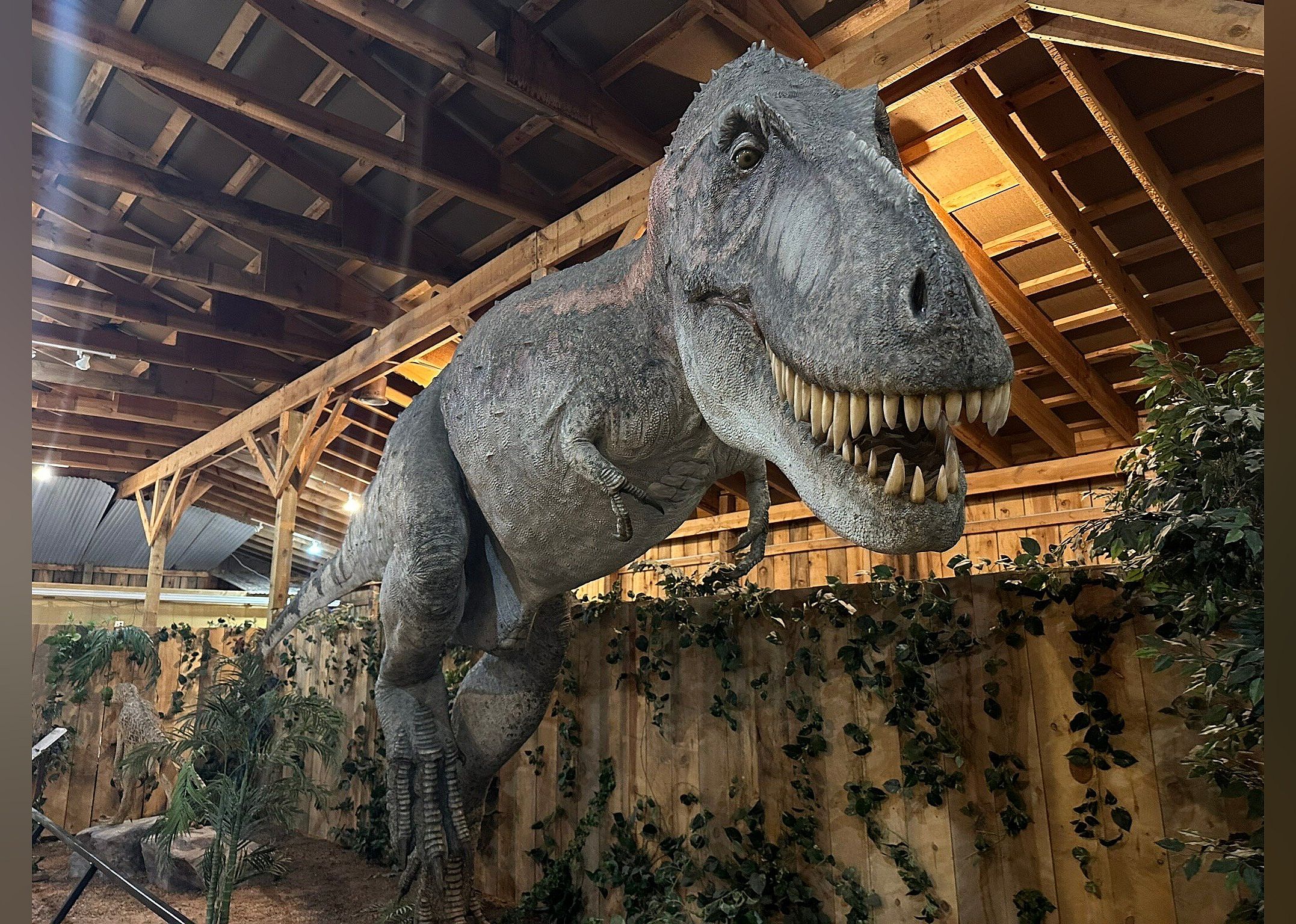 #15. Dinosaur Museum