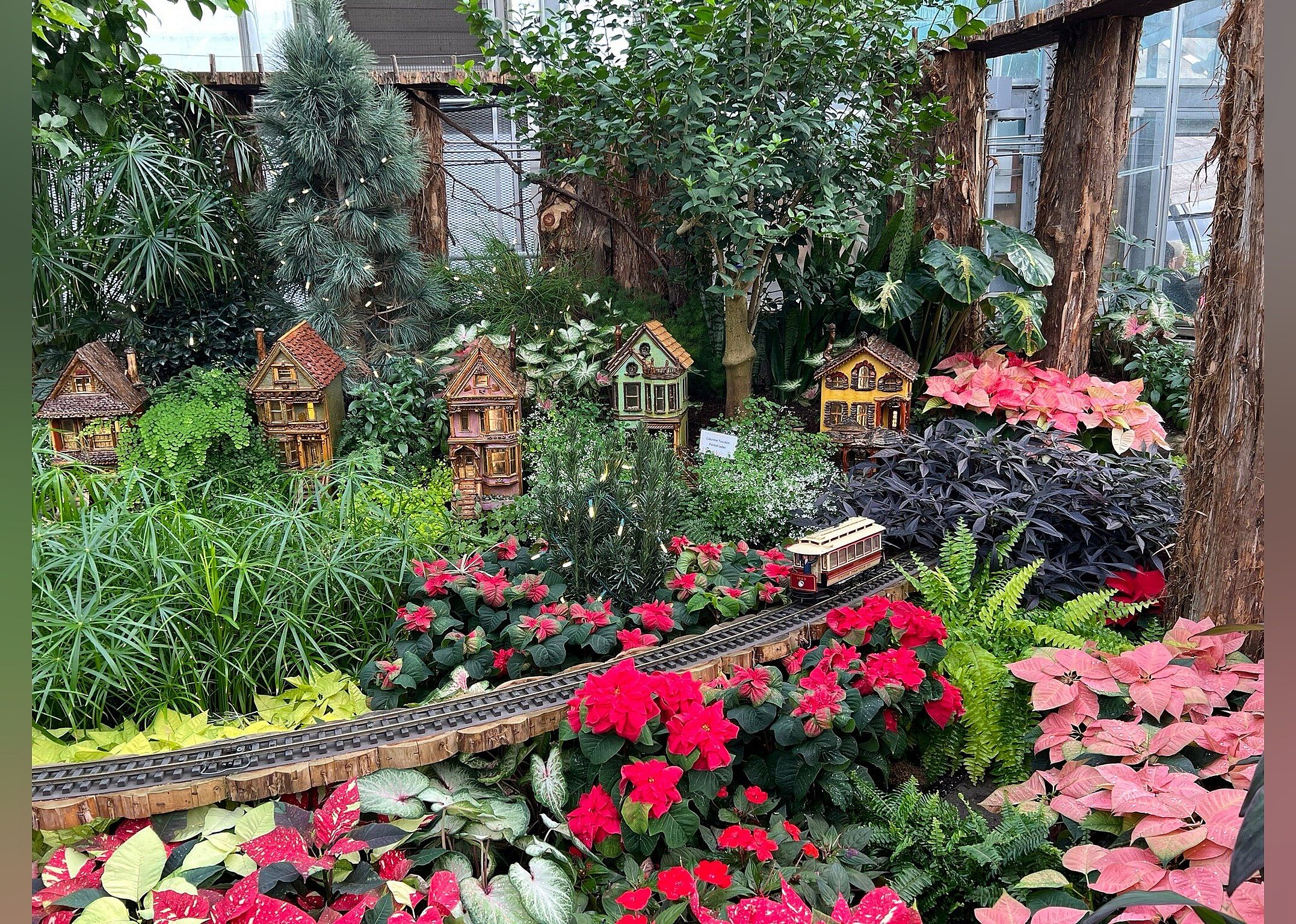 #18. Krohn Conservatory