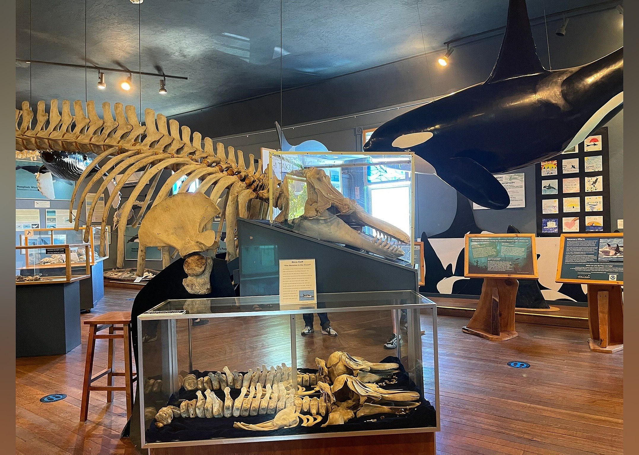 #22. The Whale Museum