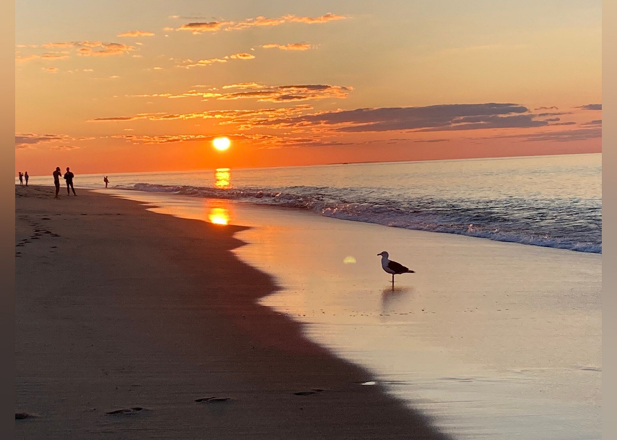 #24. Race Point Beach