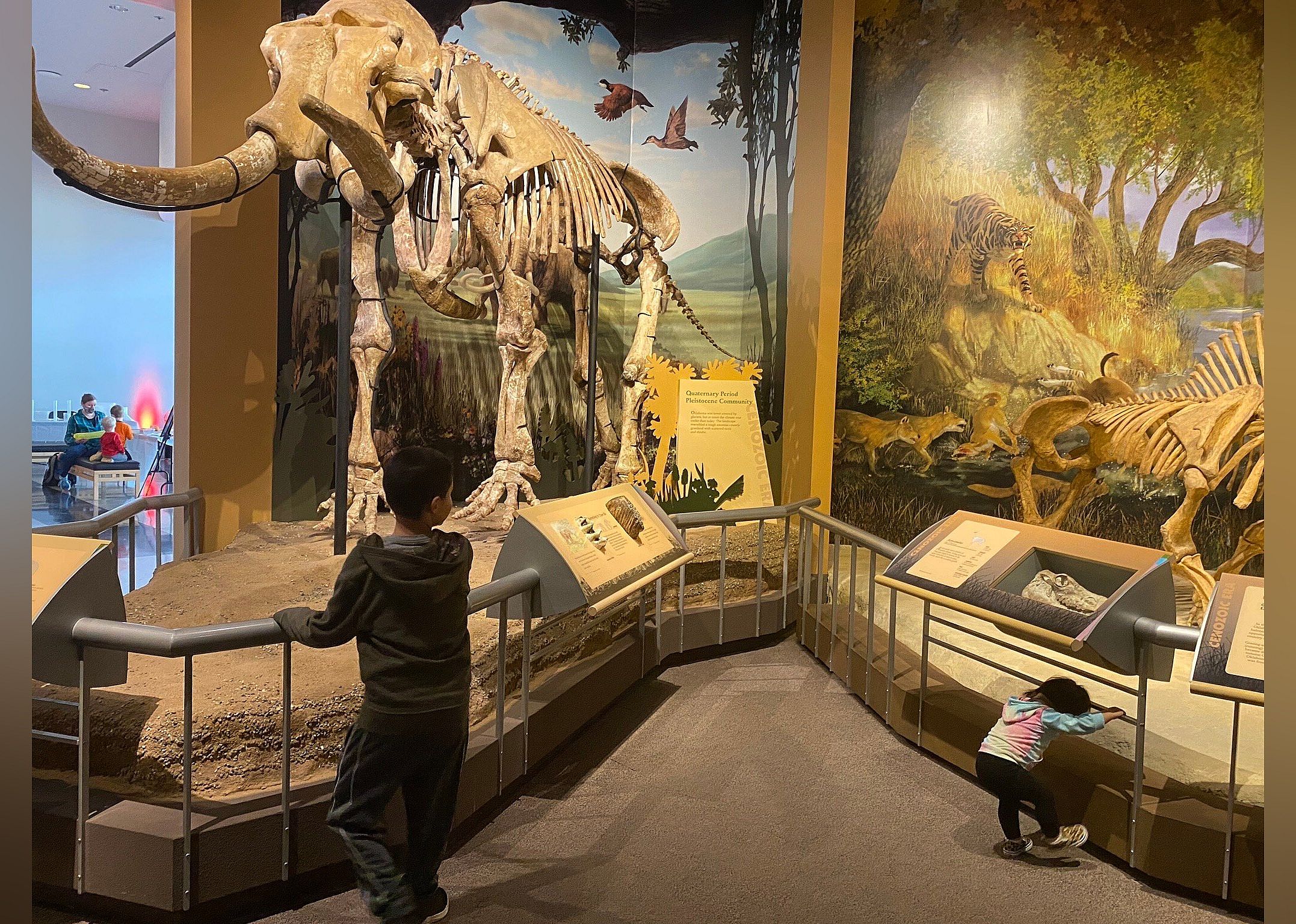 #16. Sam Noble Oklahoma Museum of Natural History
