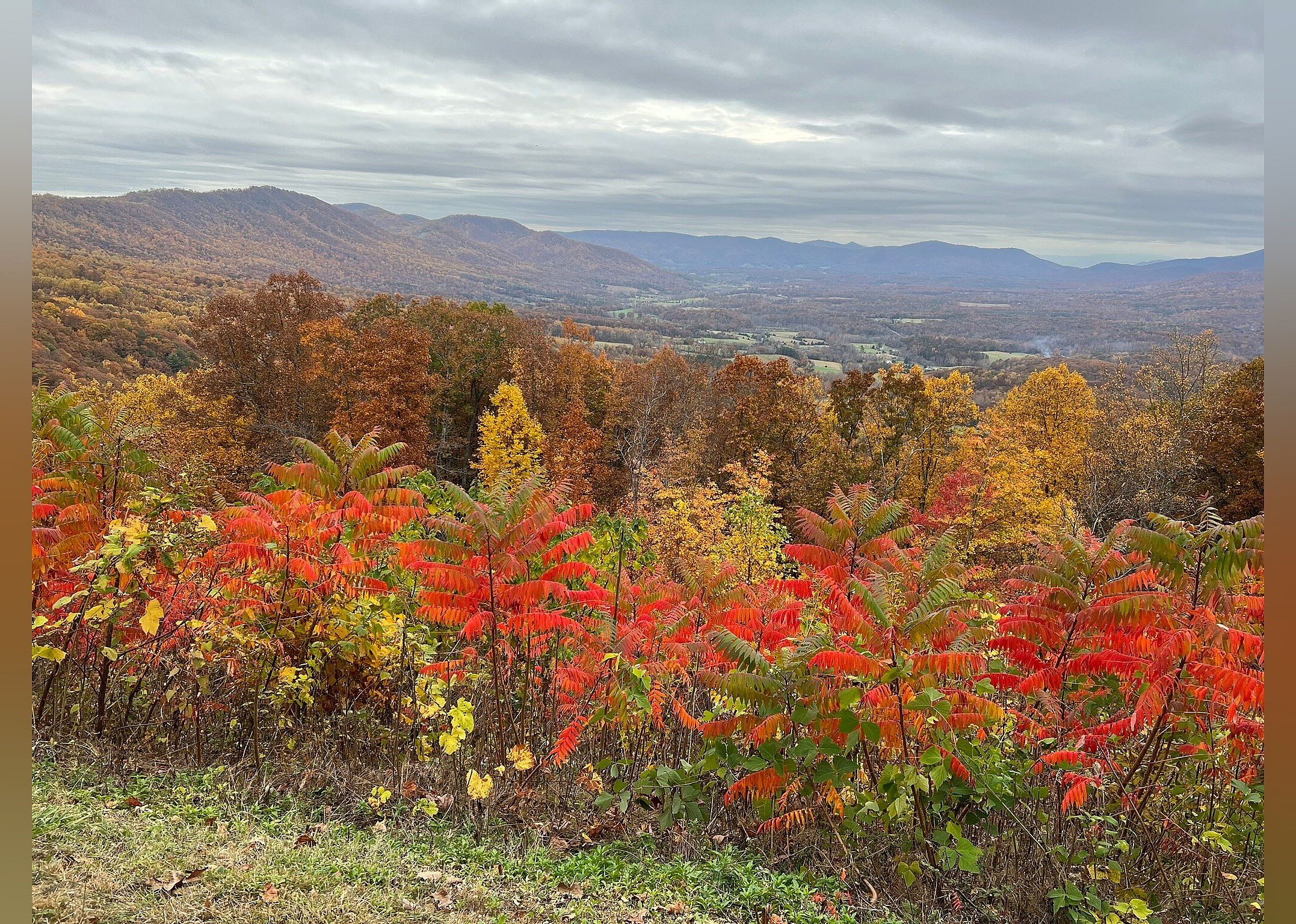 #3. Blue Ridge Parkway