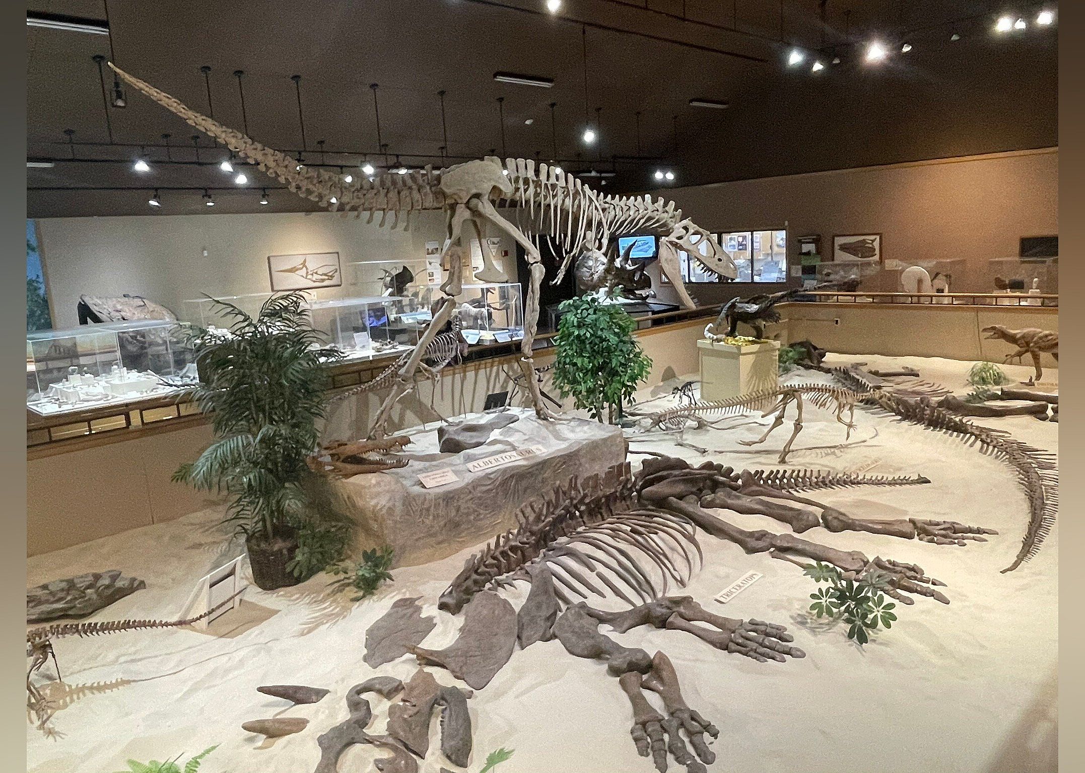 #8. Dakota Dinosaur Museum