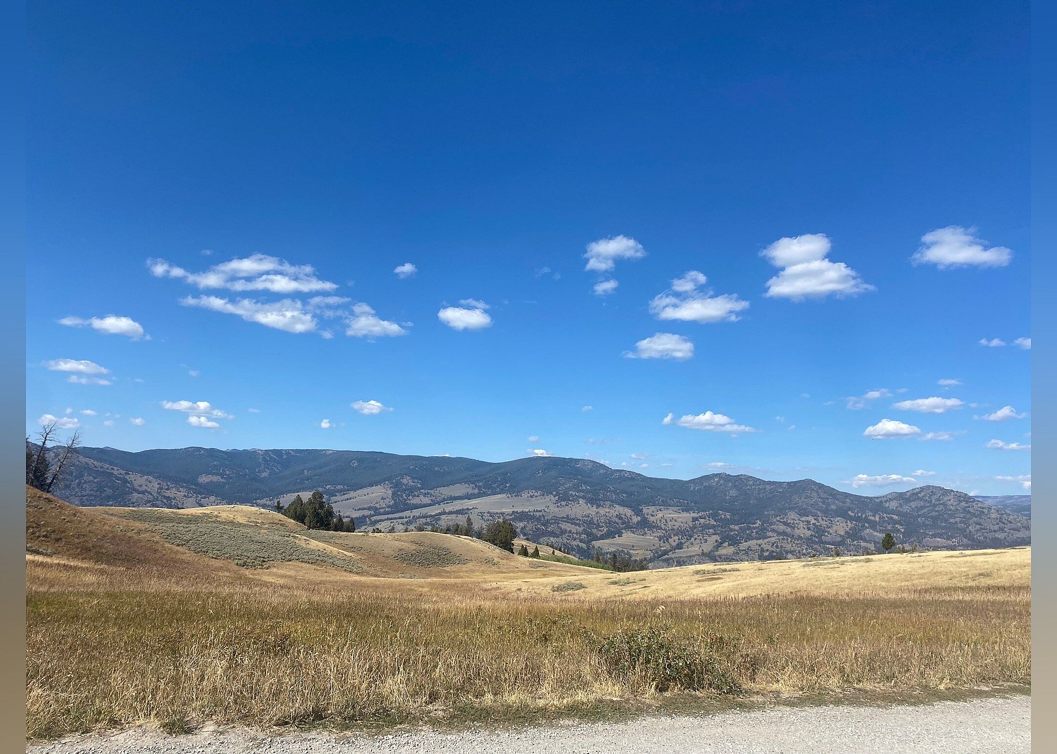 #19. Blacktail Plateau Drive