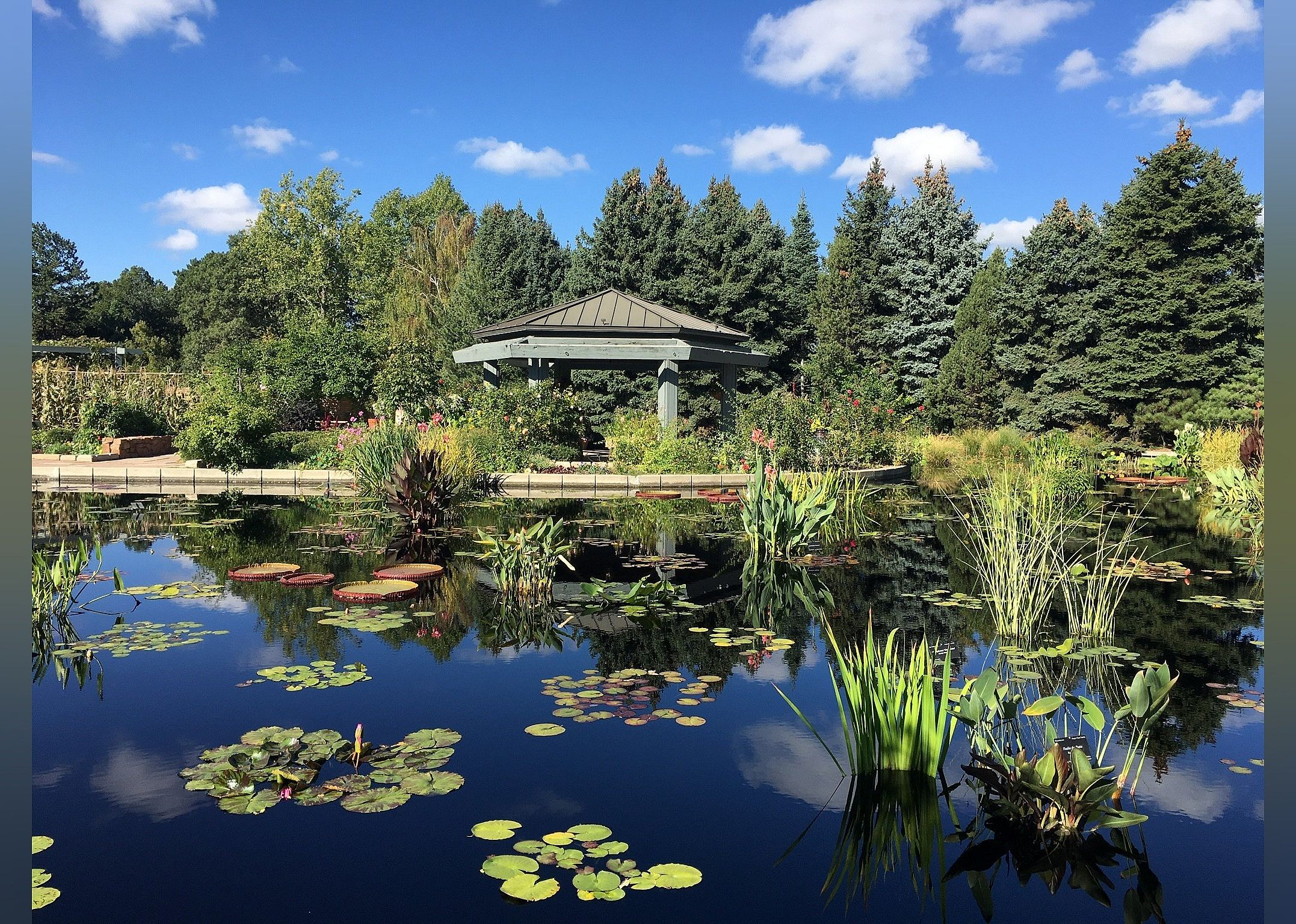 #2. Denver Botanic Gardens