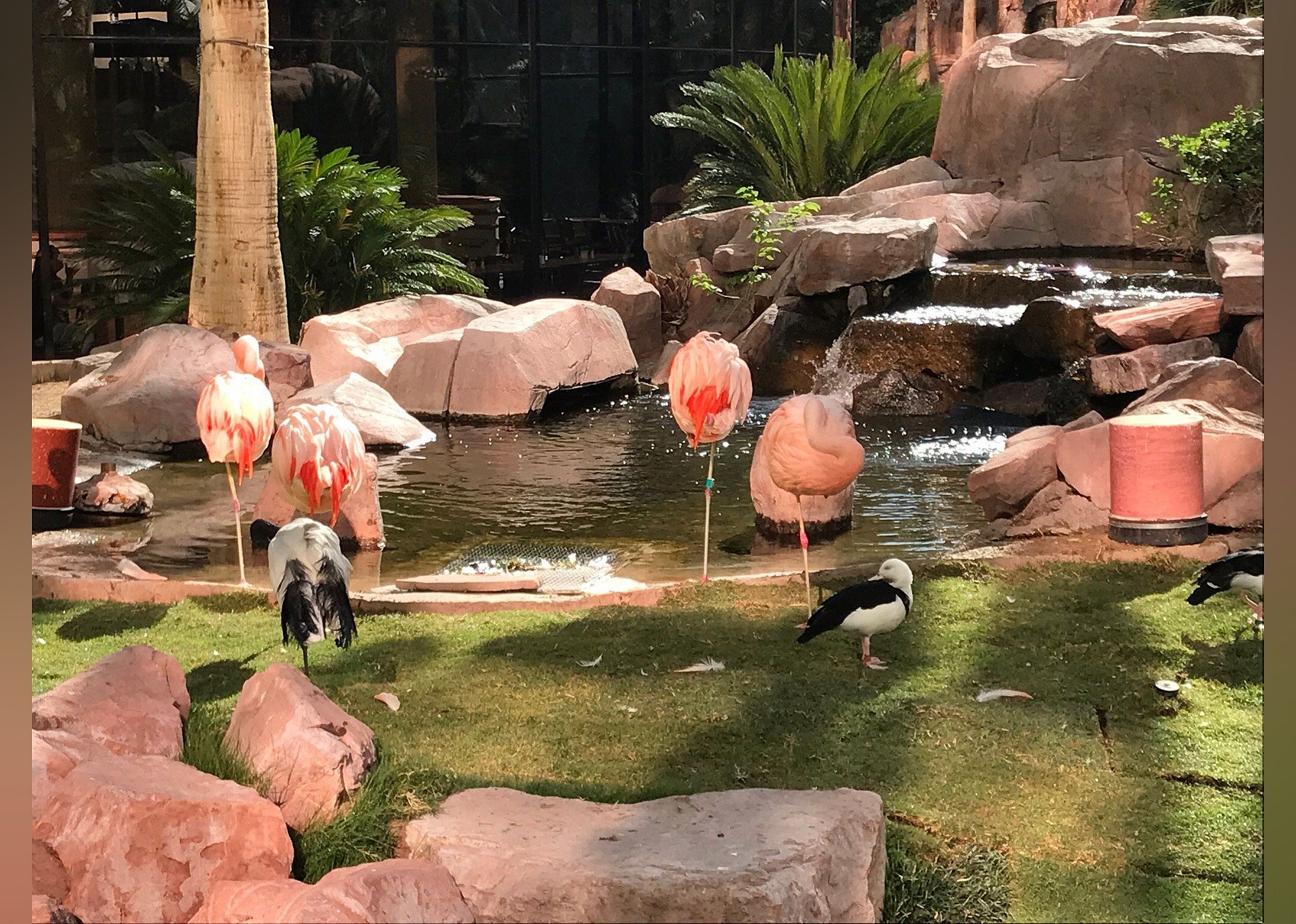 #16. Flamingo Wildlife Habitat