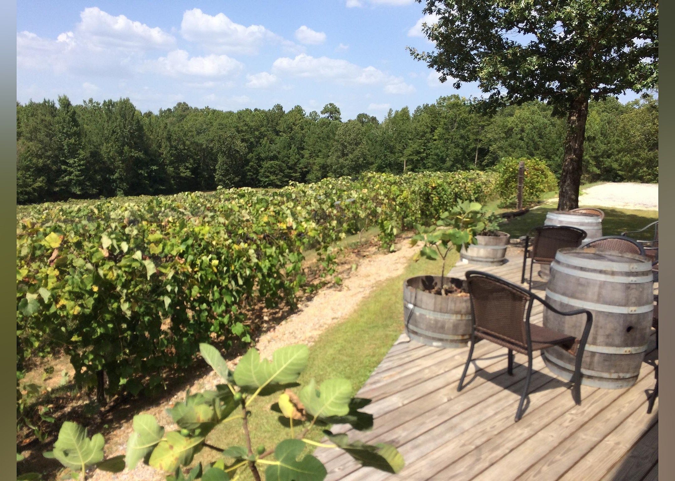 #1. Ozan Winery & Cellars