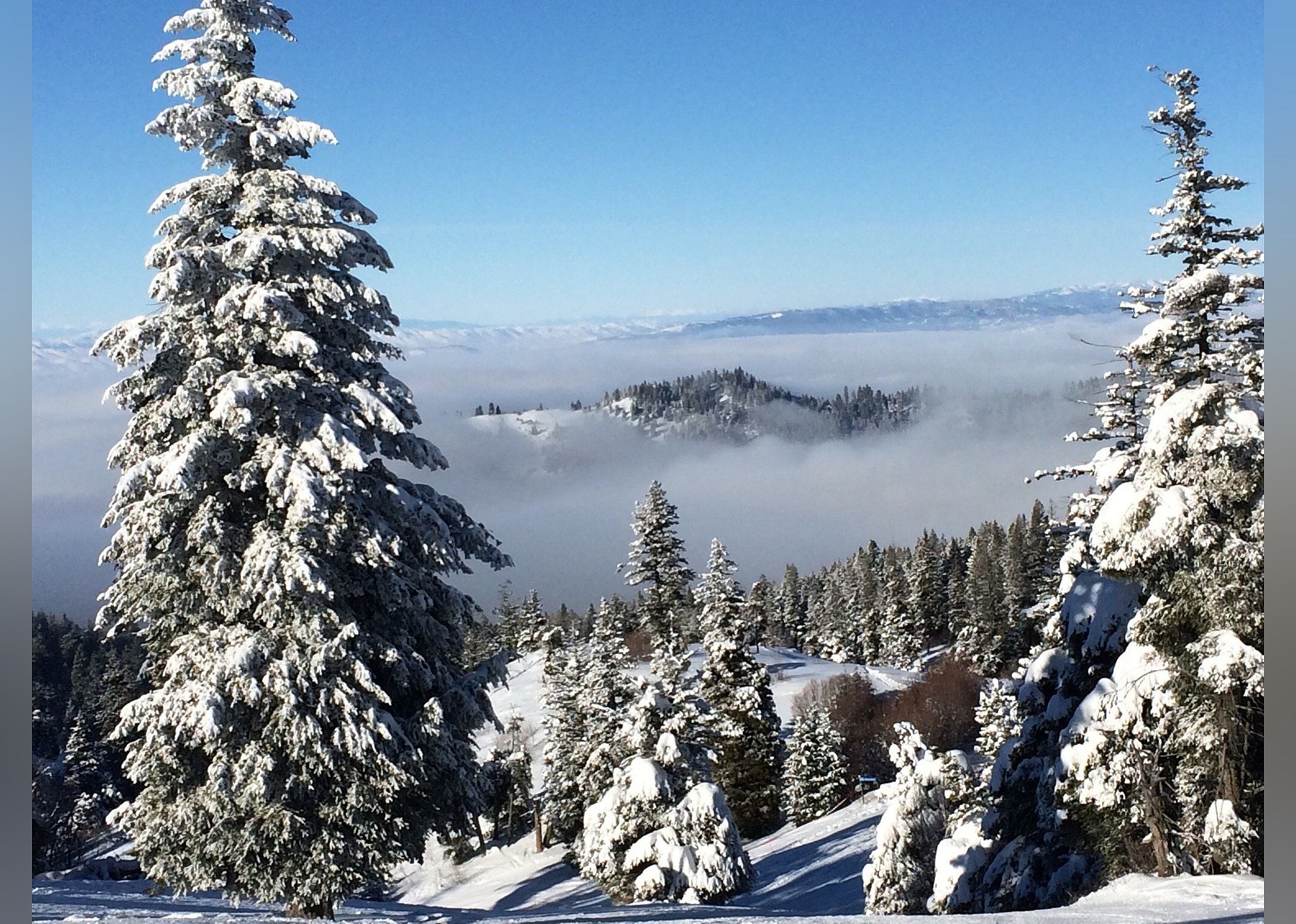#25. Bogus Basin Mountain Recreation Area