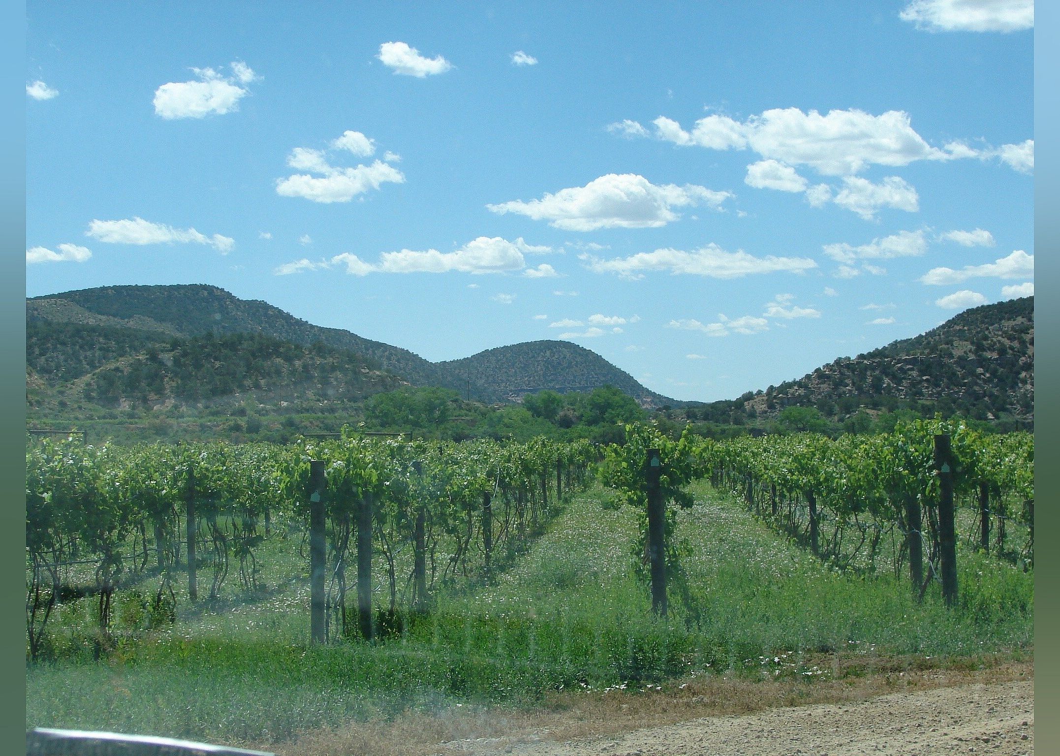 #25. Guy Drew Winery