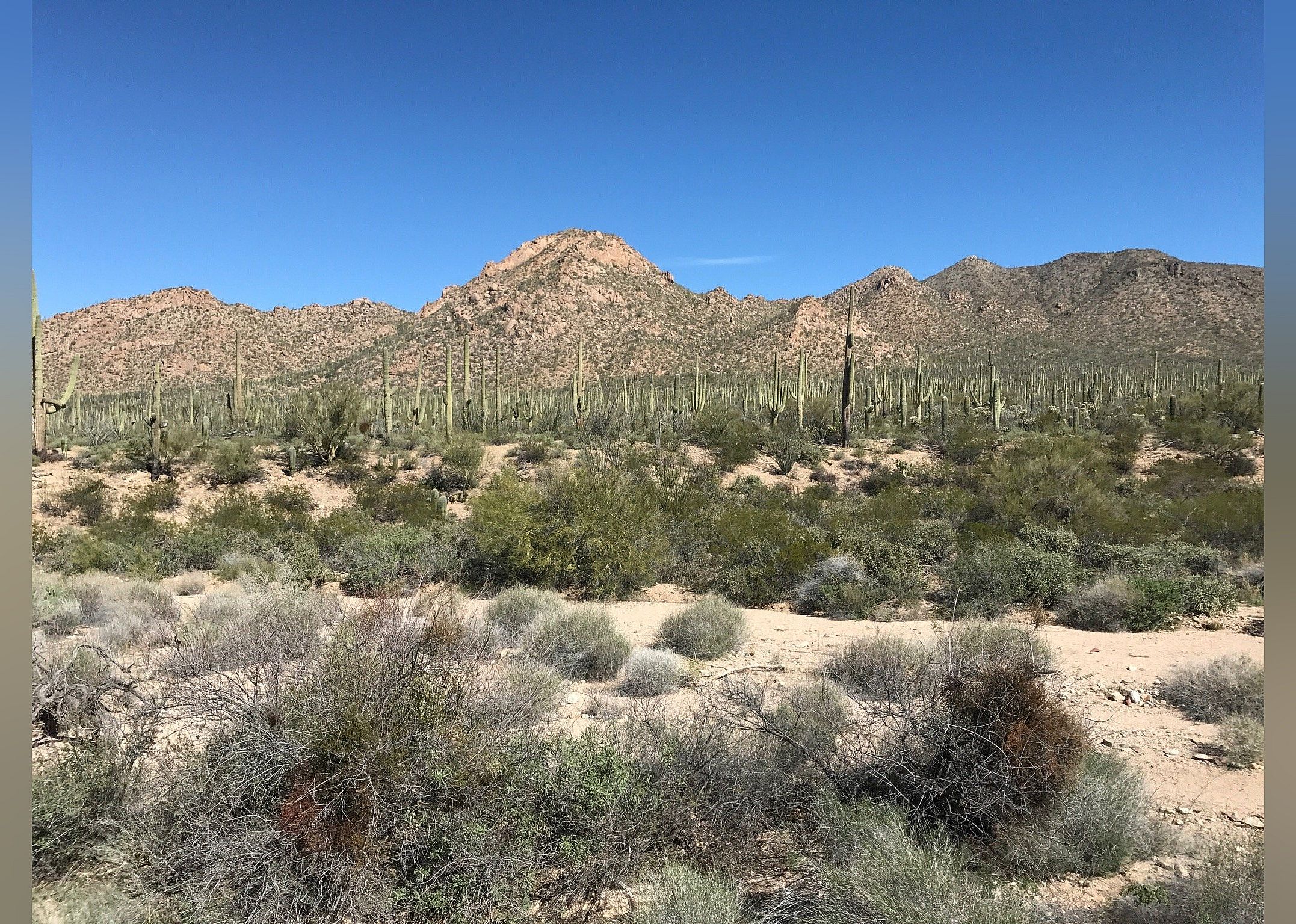 #20. Hohokam Road