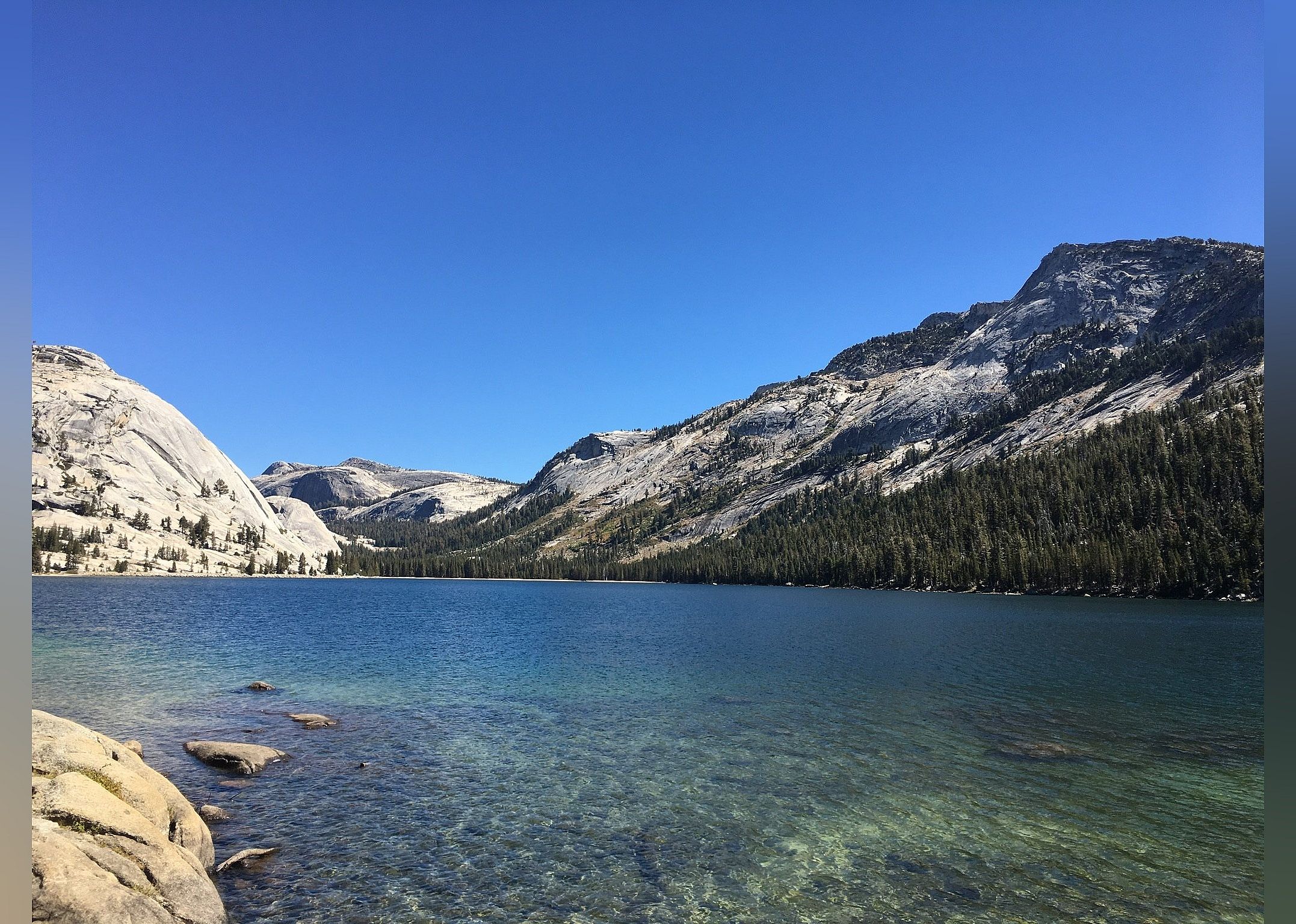 #24. Tioga Road