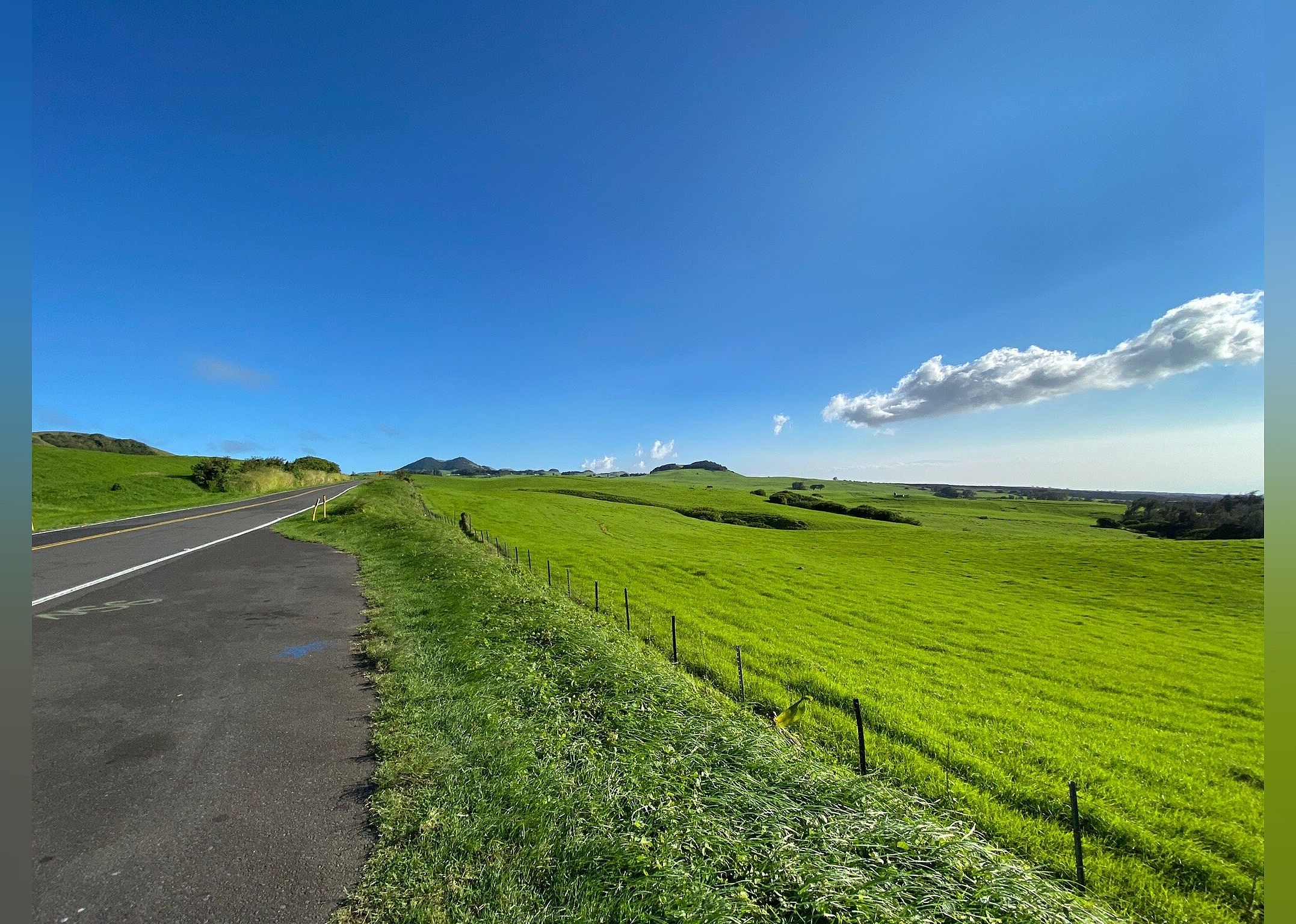 #12. Kohala Mountain Road