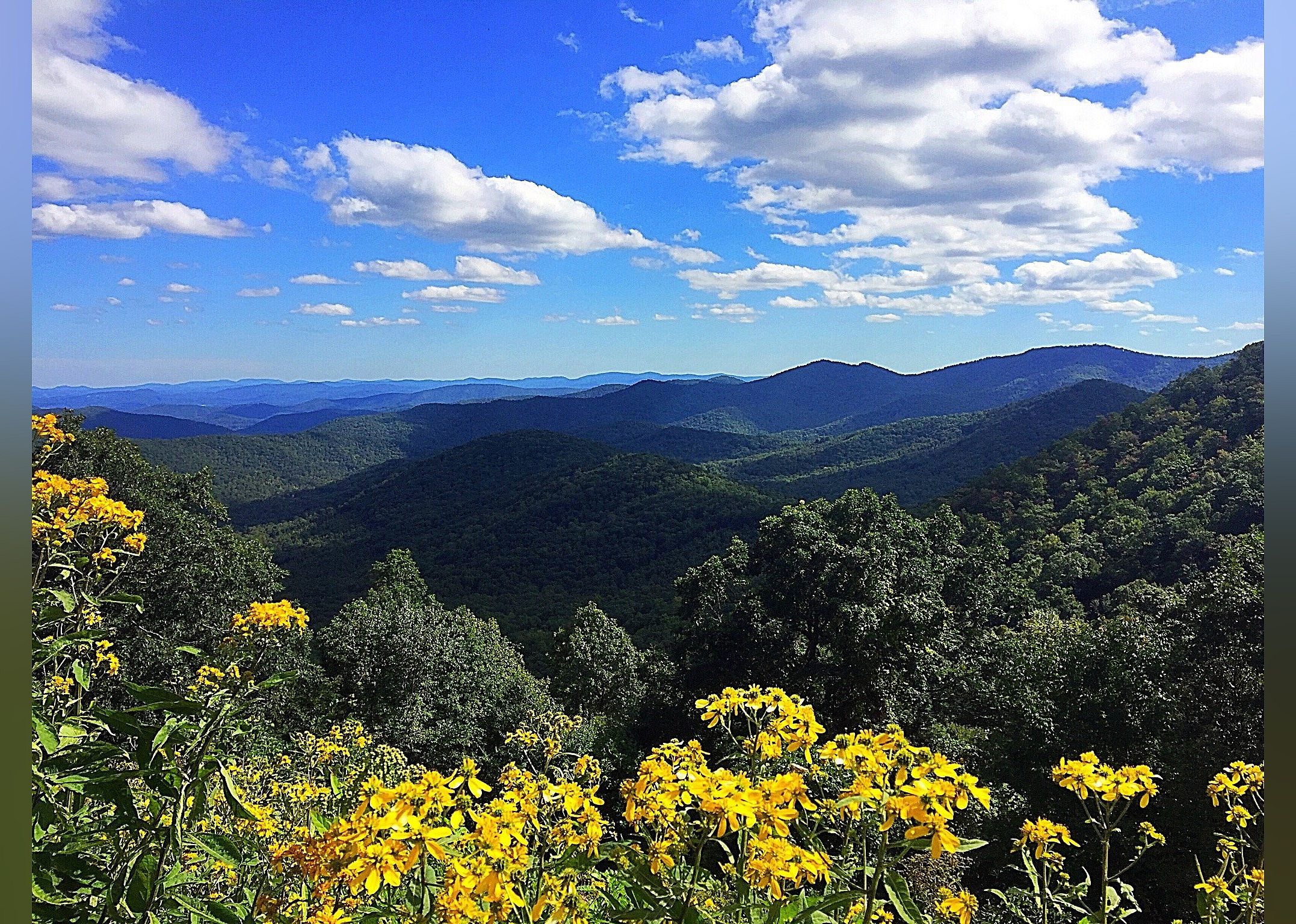 #6. Blue Ridge Parkway