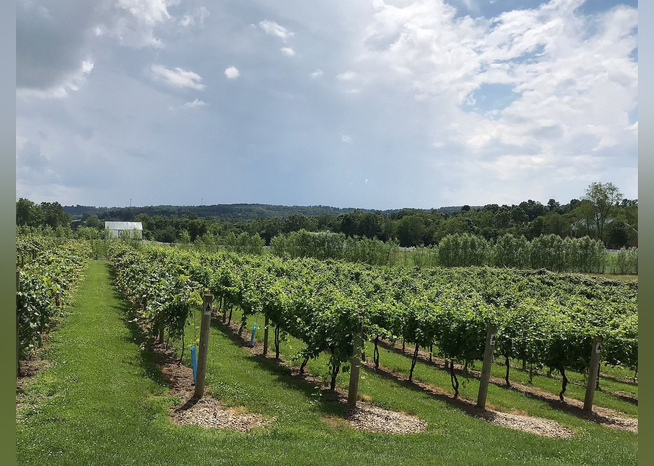 #11. Rockside Winery and Vineyards