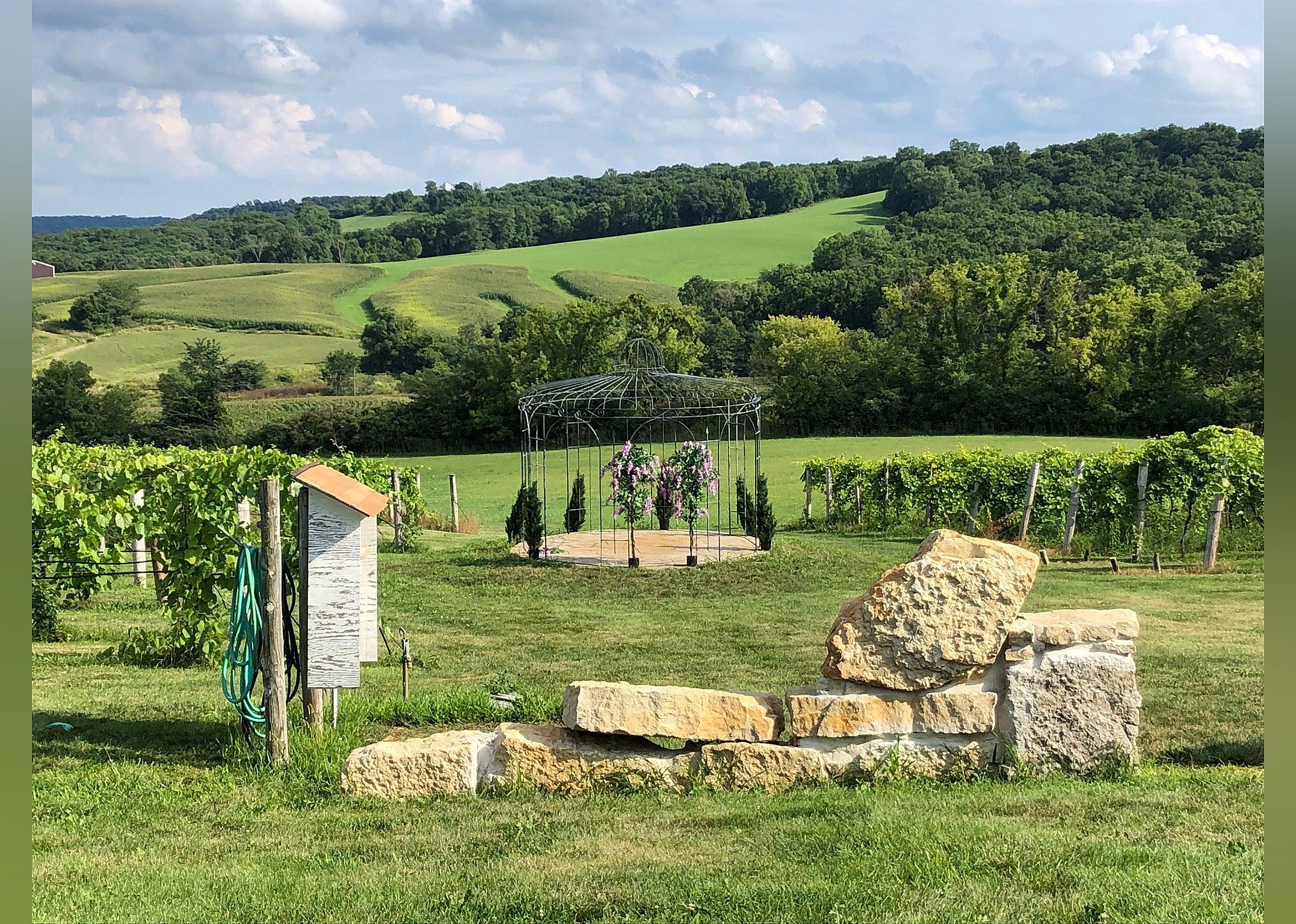 #4. Fergedaboudit Vineyard & Winery